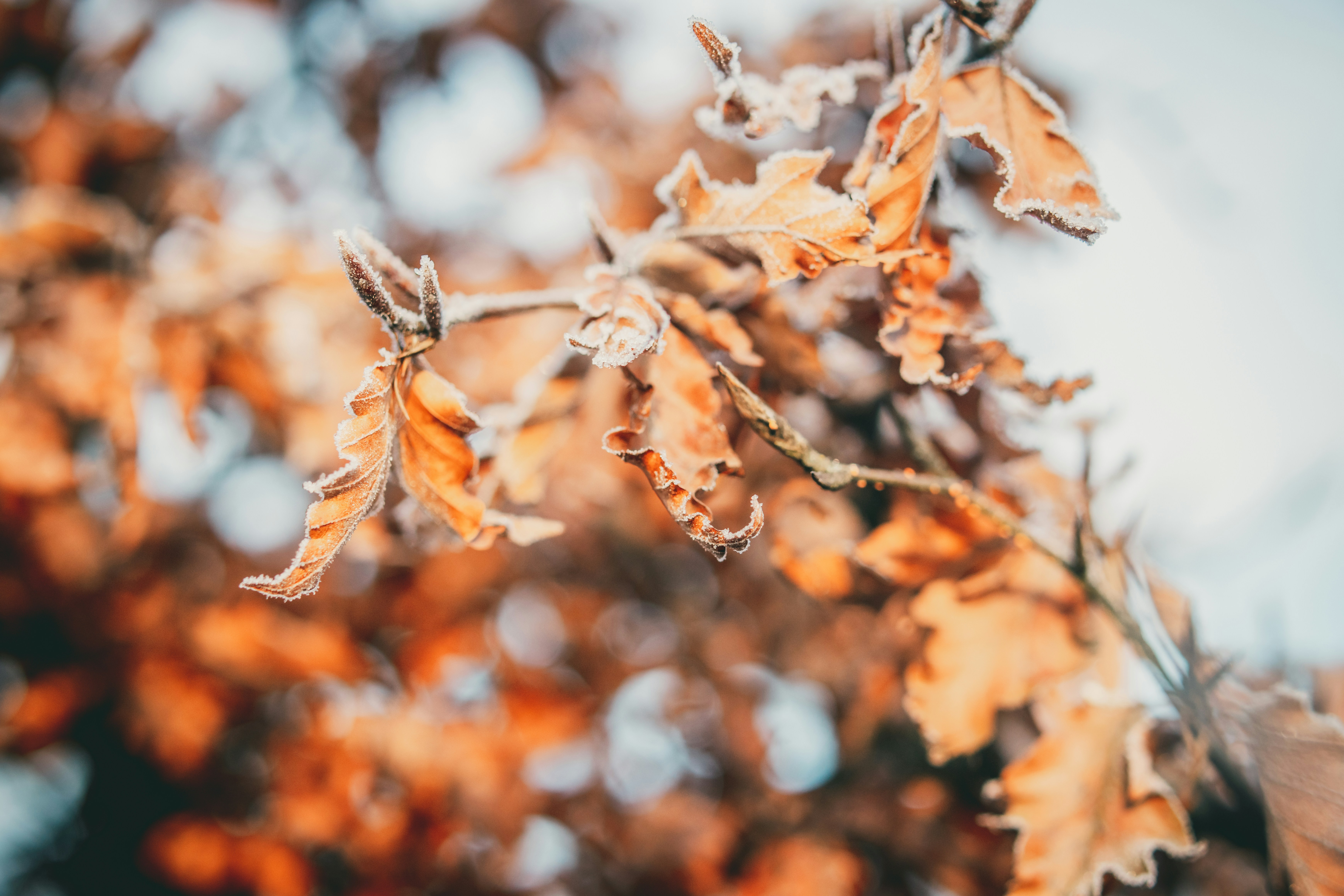 Photo by raimondklavins