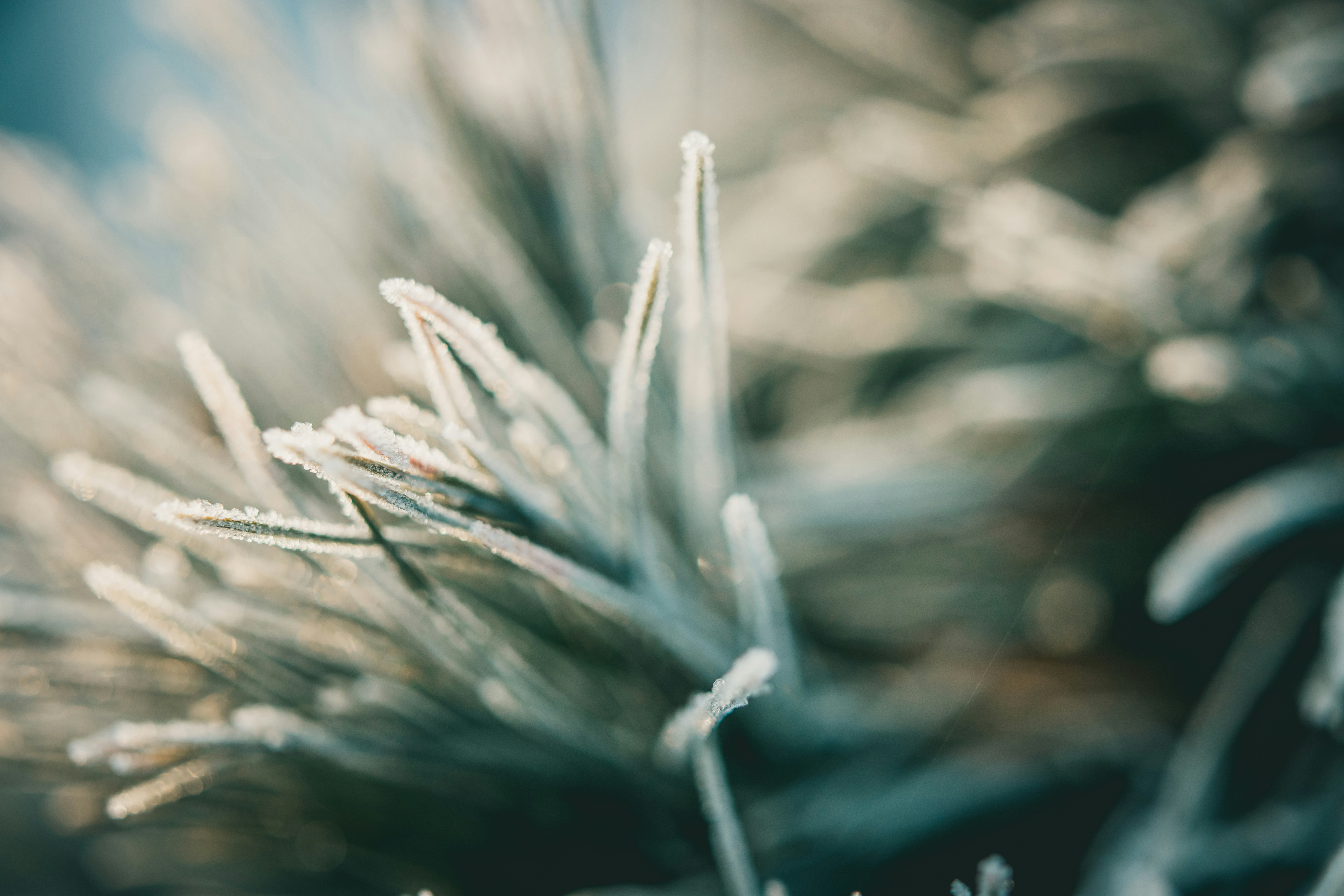 Photo by raimondklavins