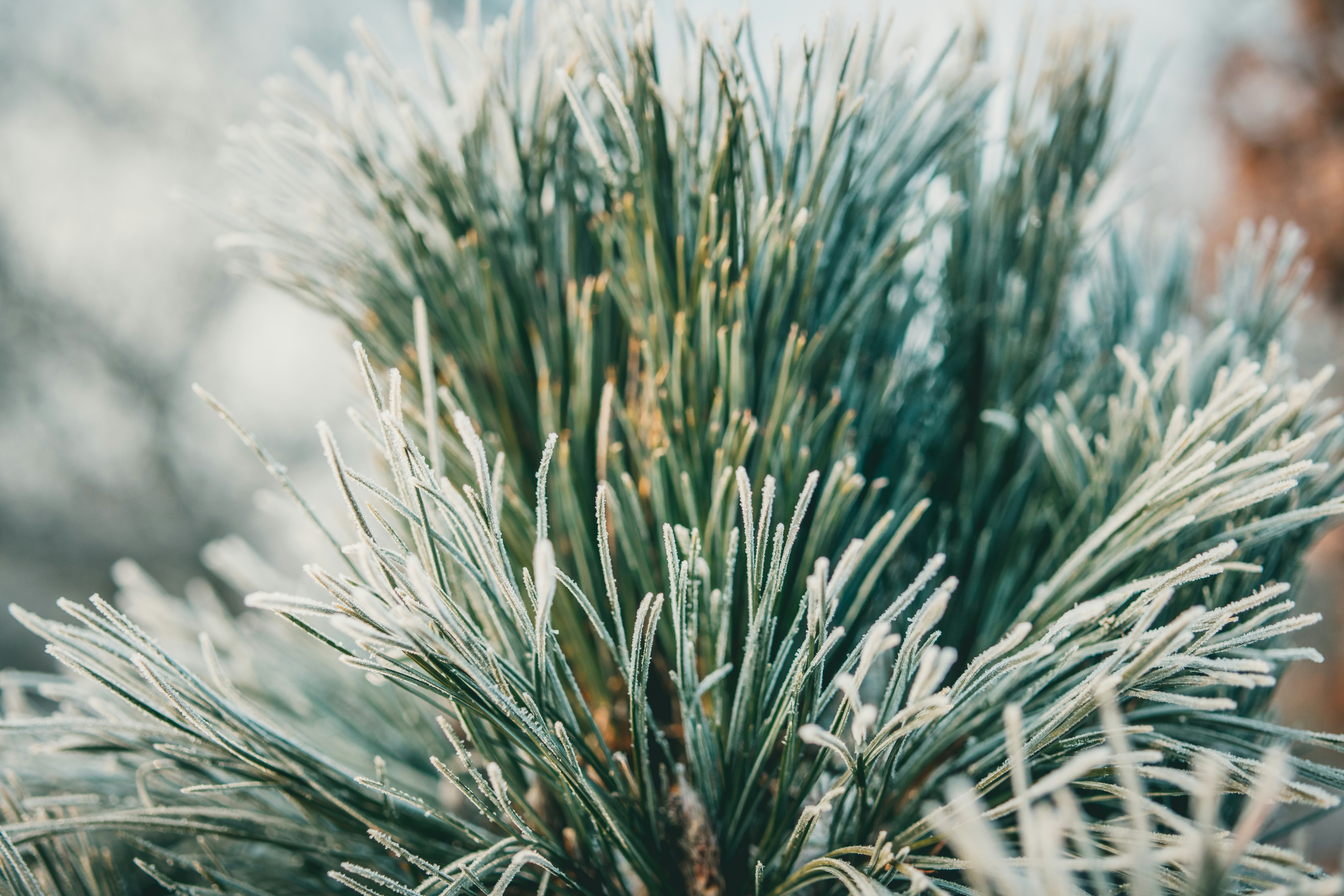 Photo by raimondklavins