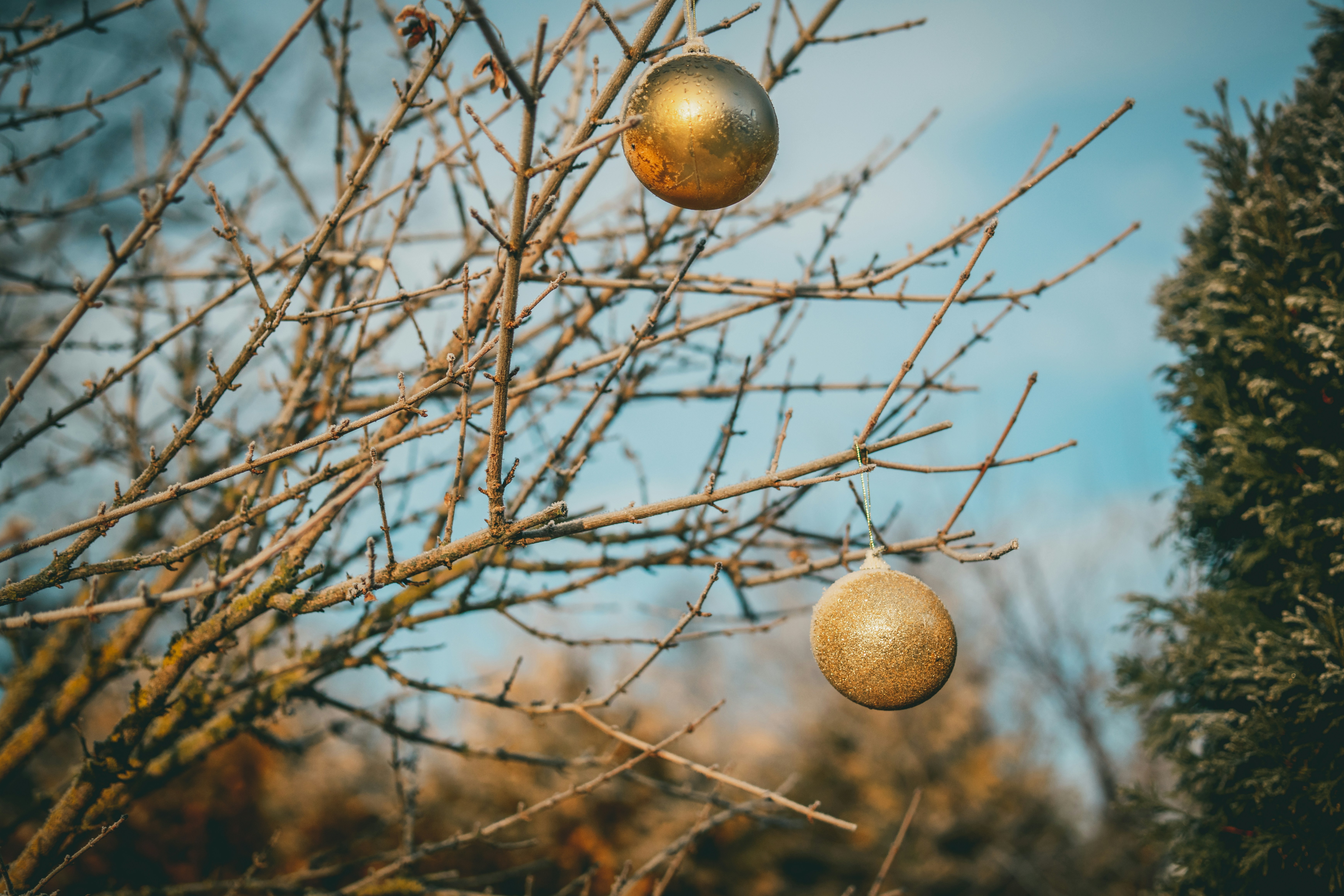 Photo by raimondklavins