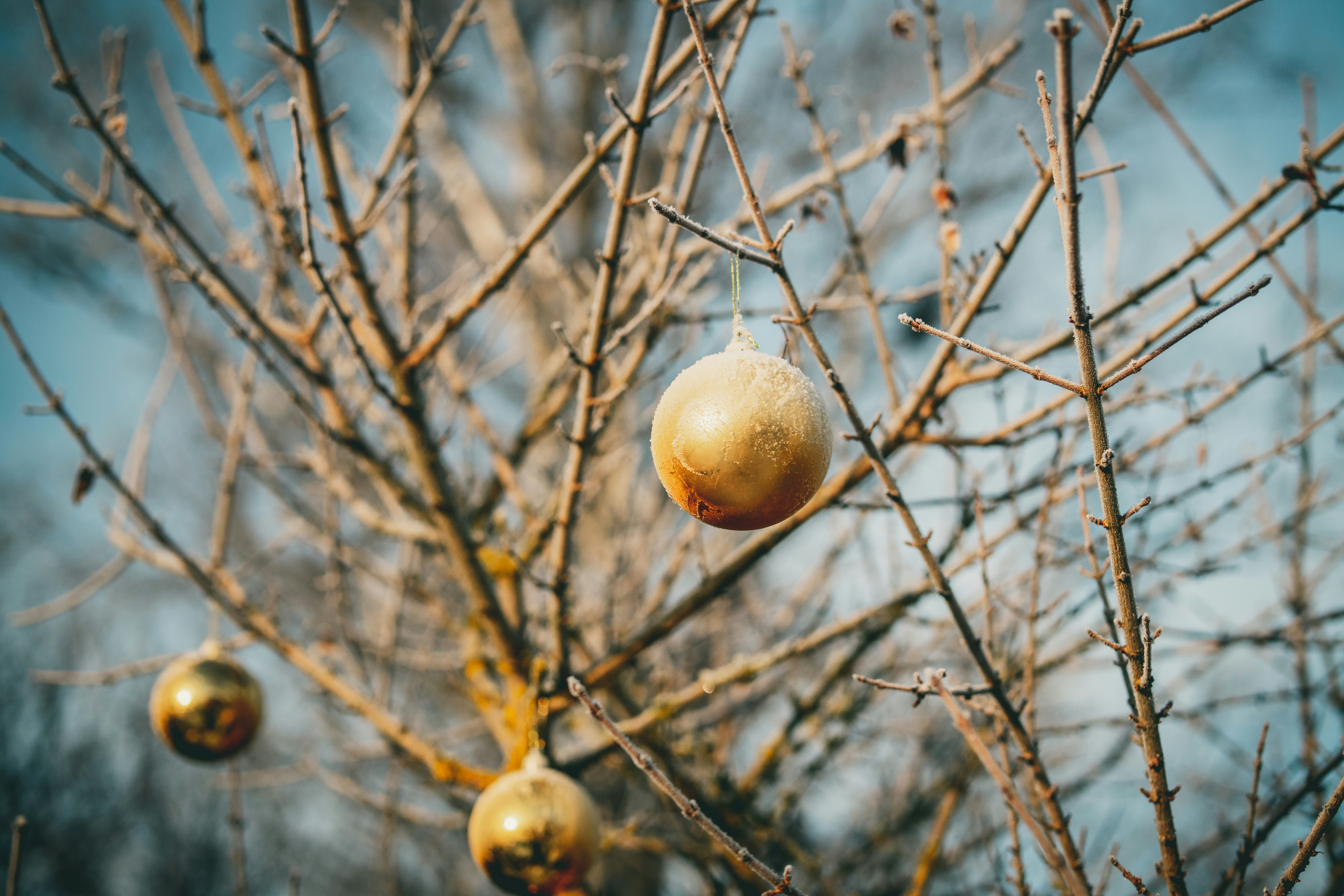 Photo by raimondklavins