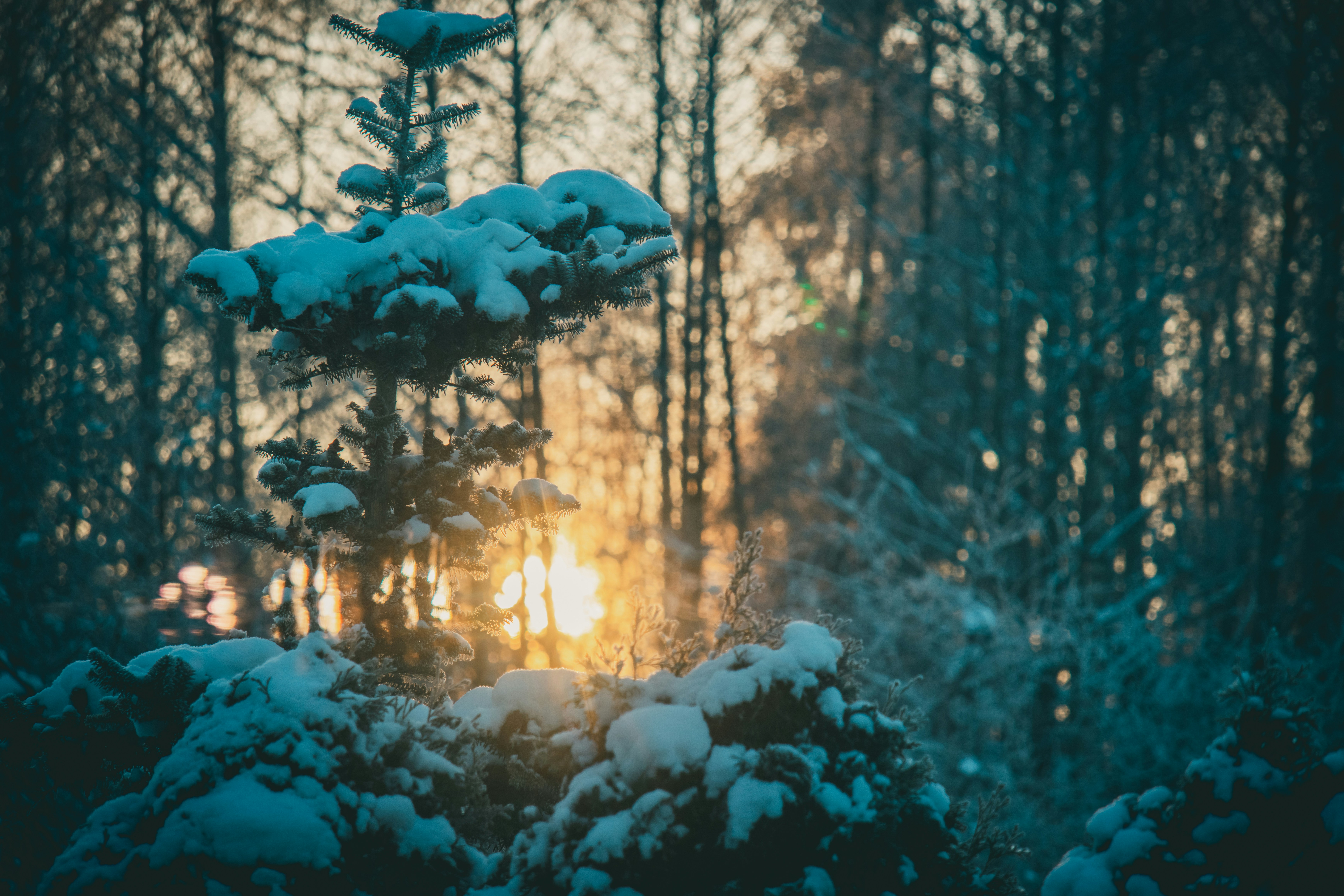 Photo by raimondklavins