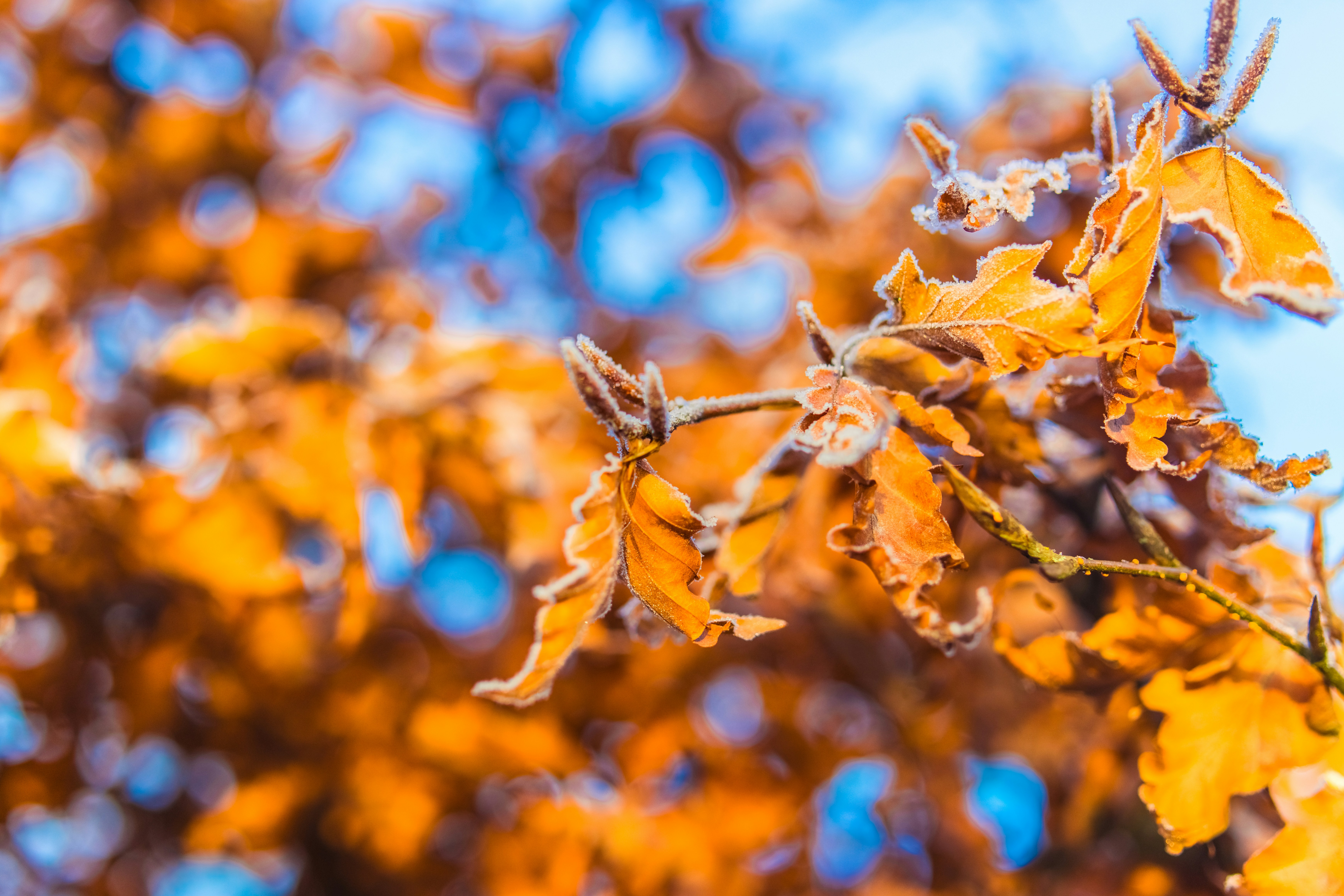 Photo by raimondklavins