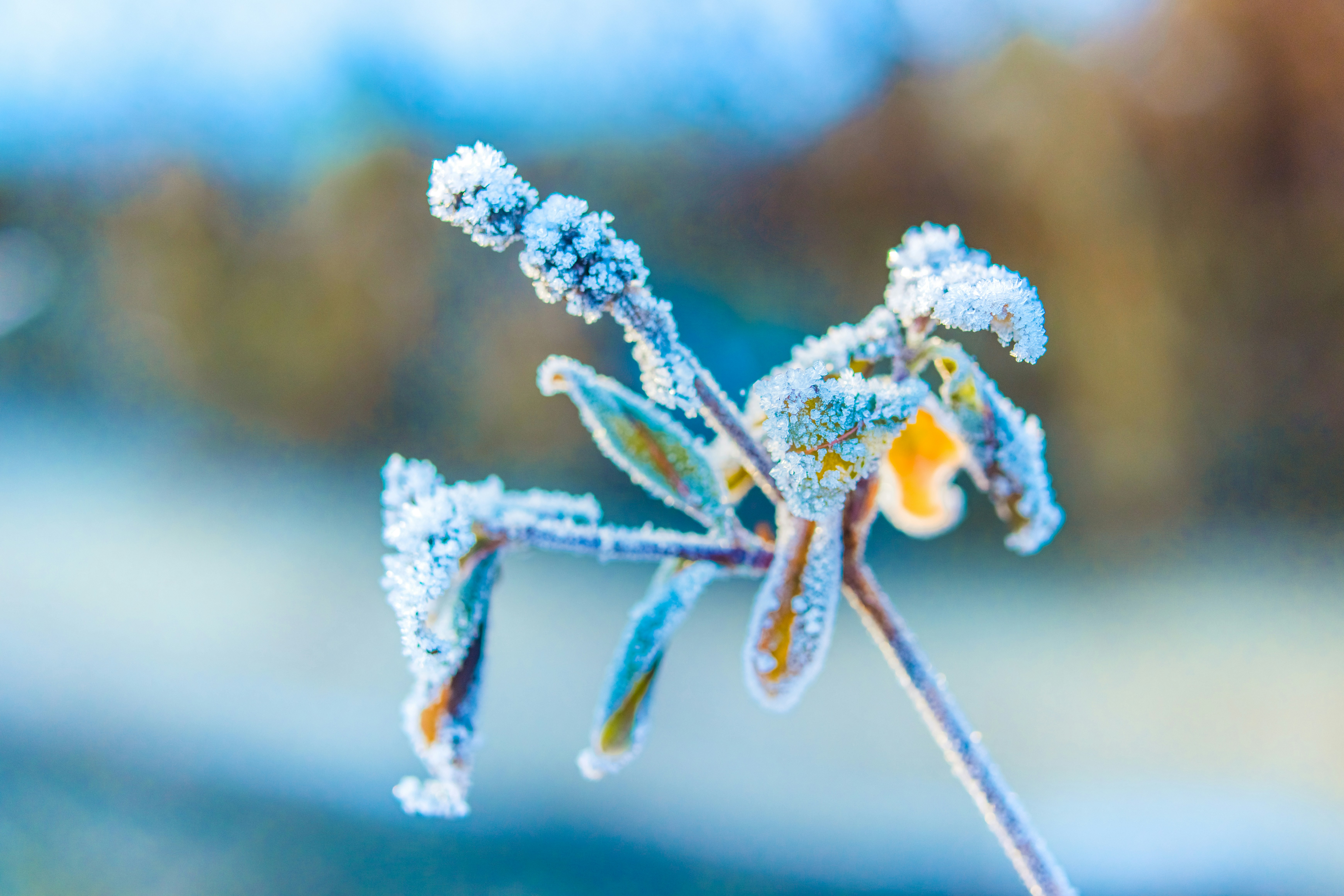 Photo by raimondklavins