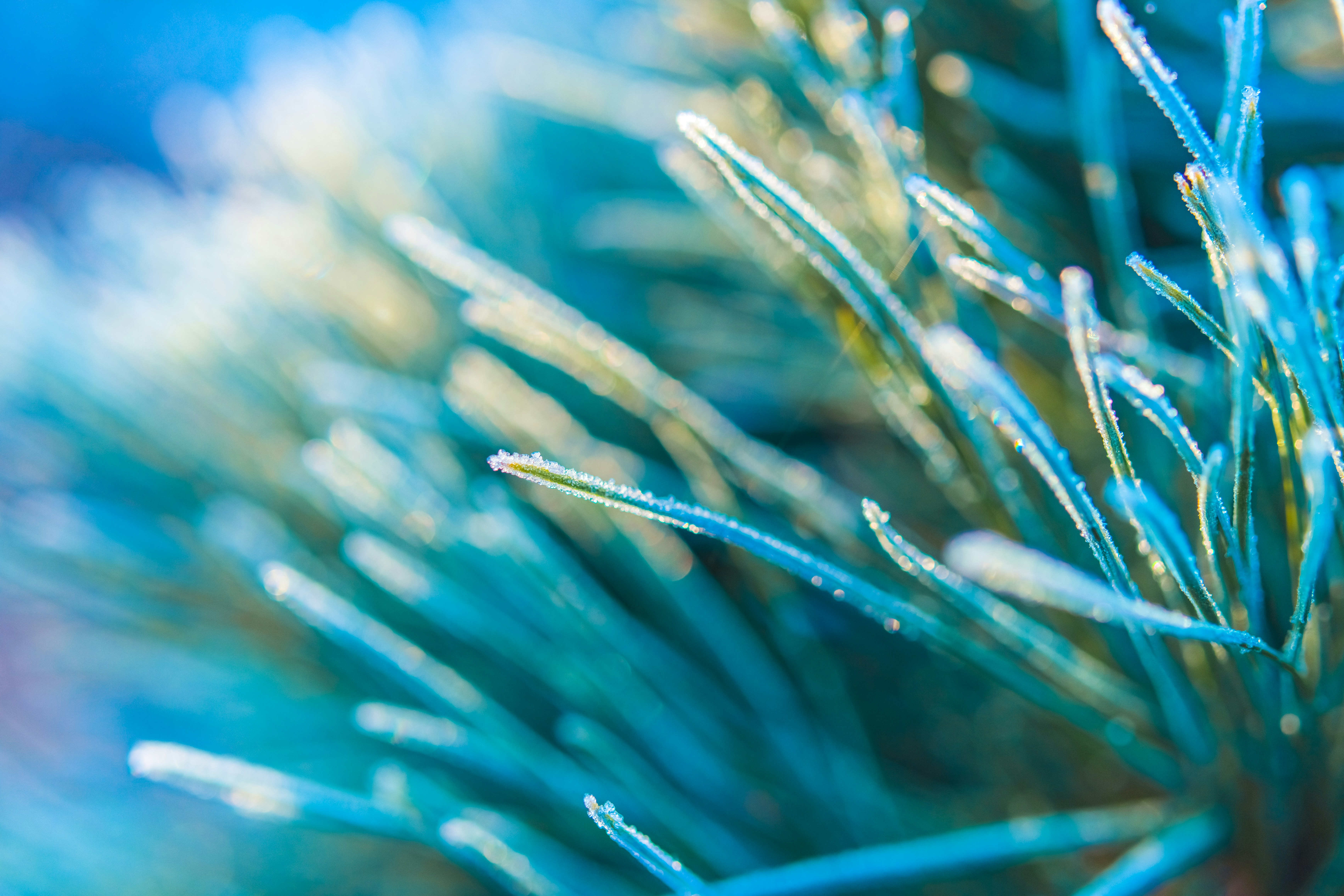 Photo by raimondklavins