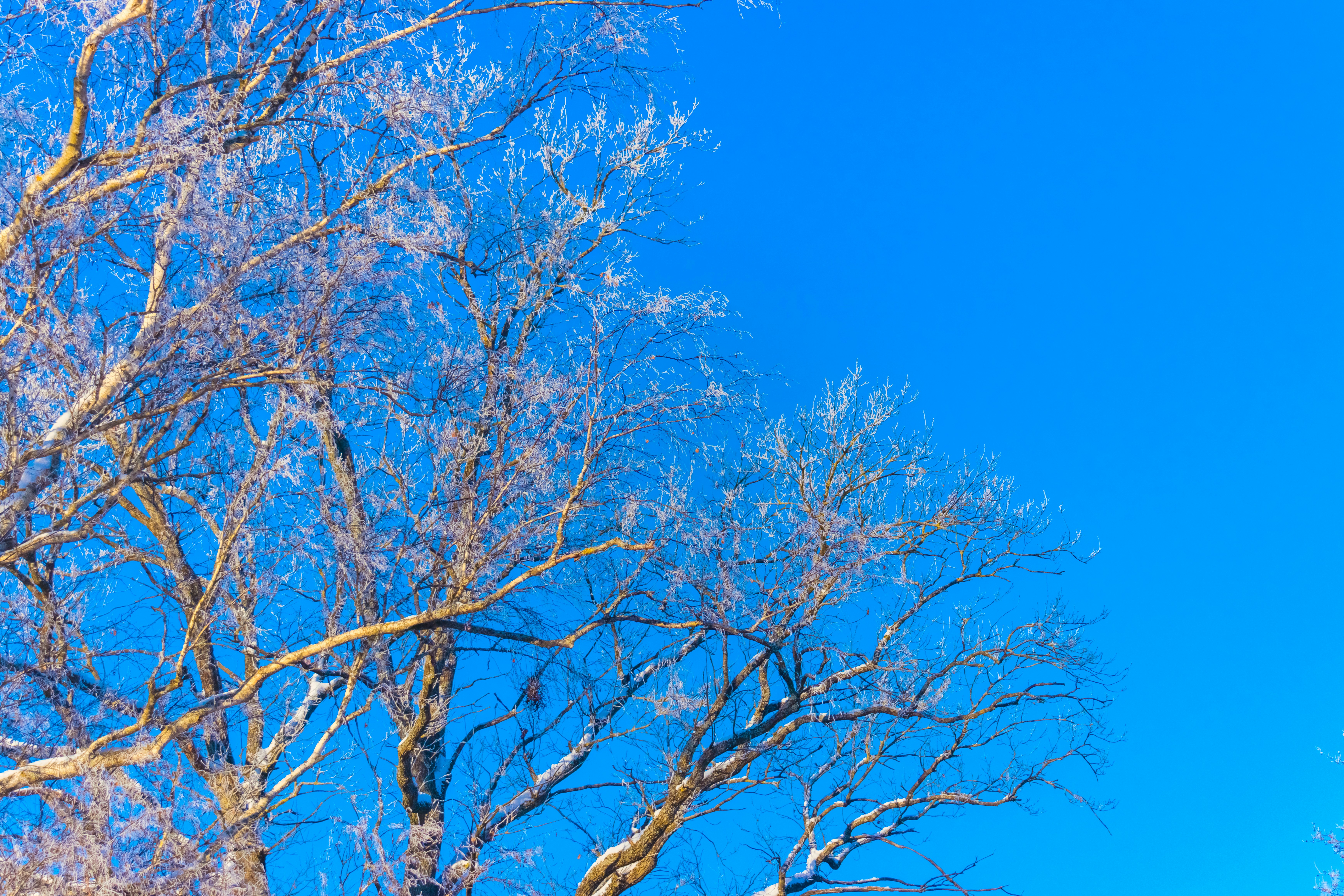 Photo by raimondklavins