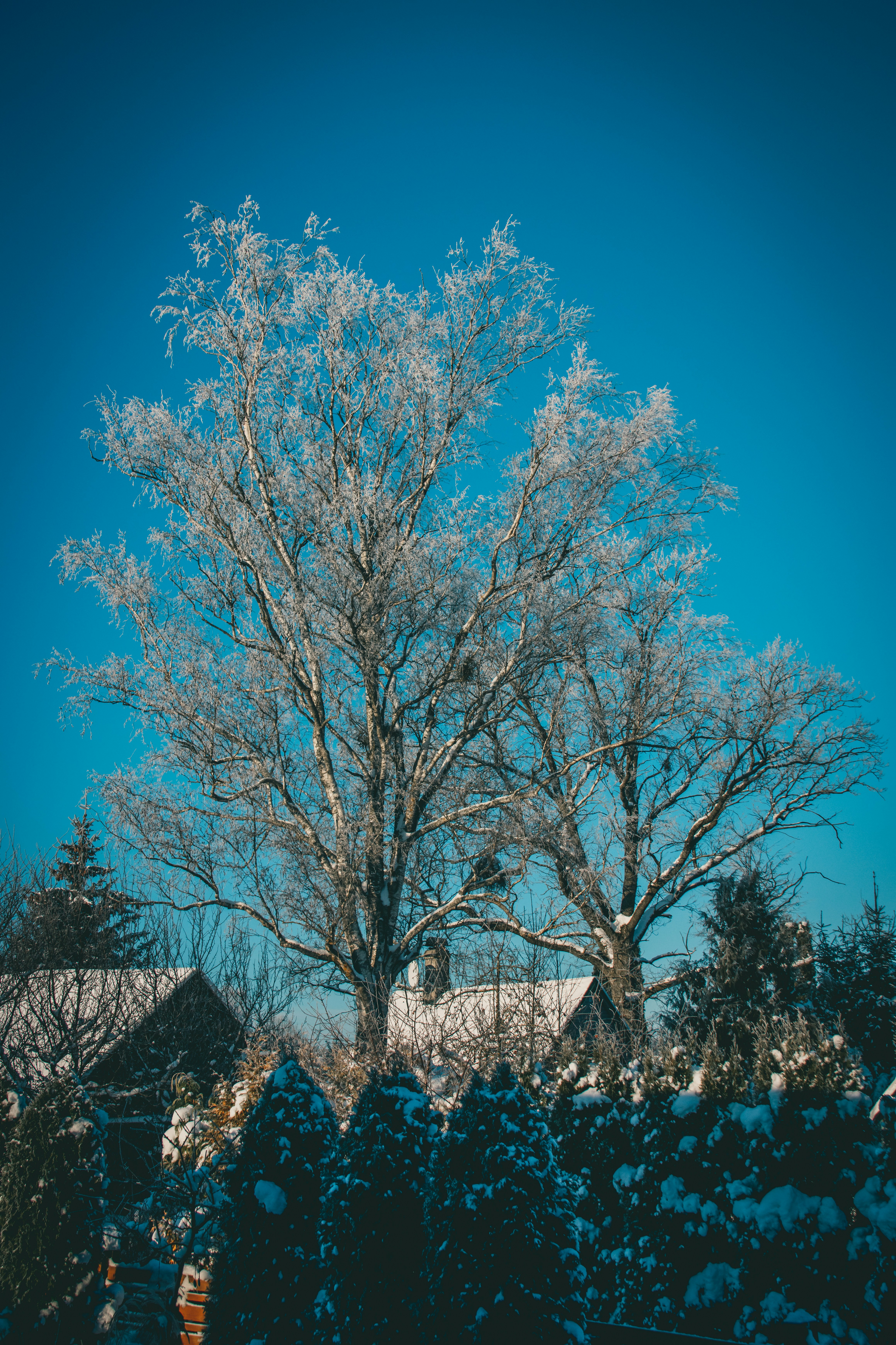 Photo by raimondklavins