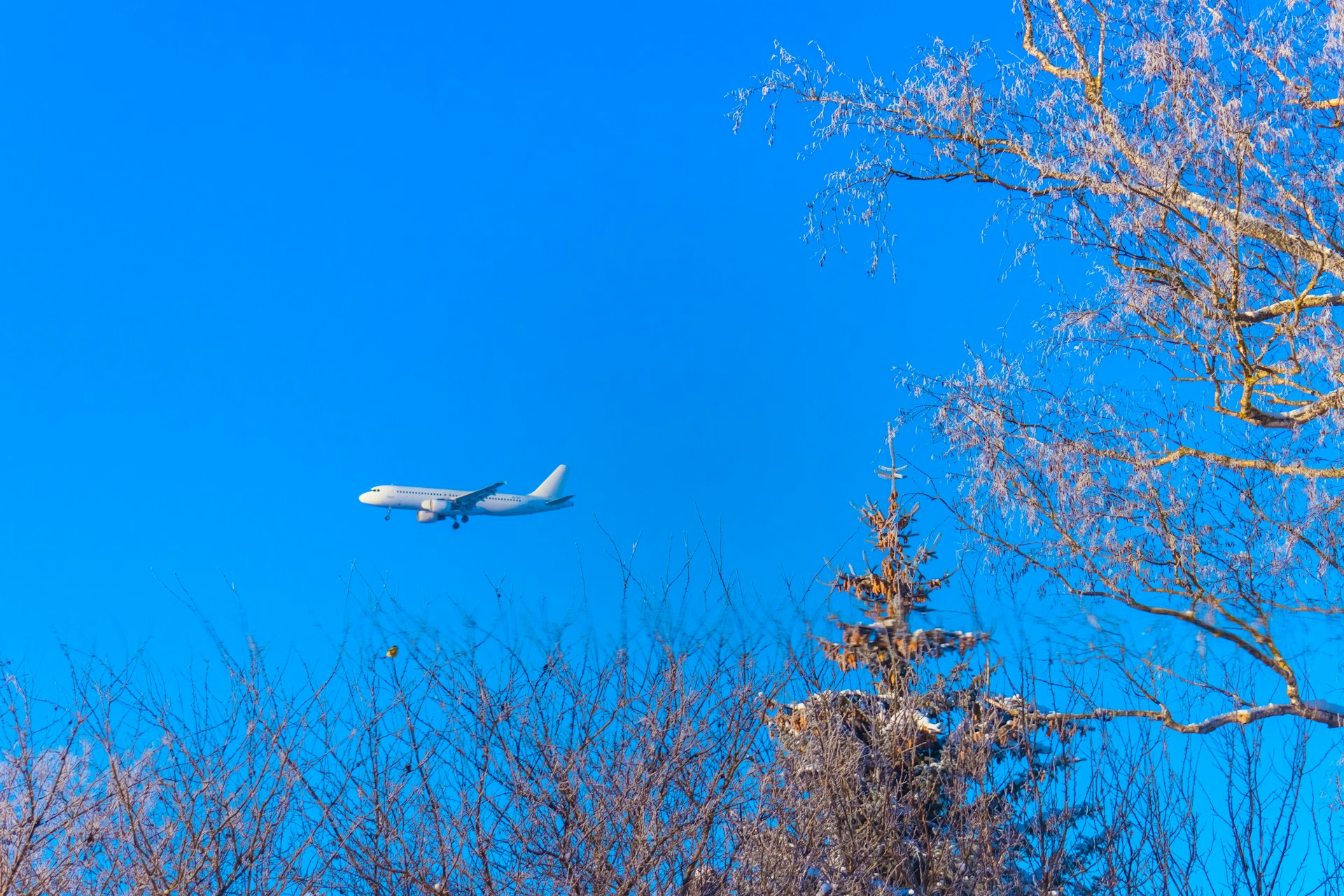 woman wearing yellow long-sleeved dress under white clouds and blue sky during daytime