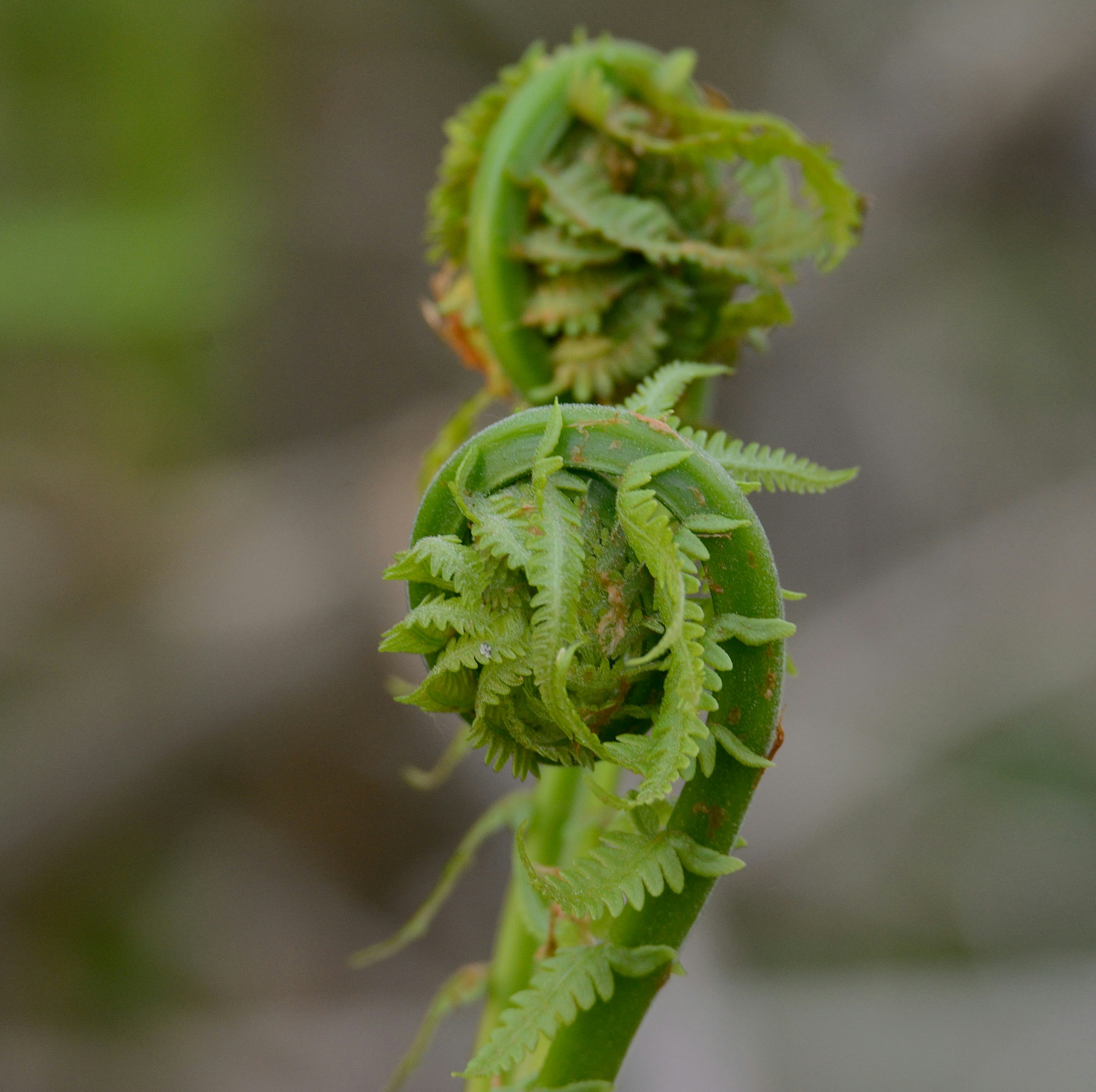 Photo by alex_makarov