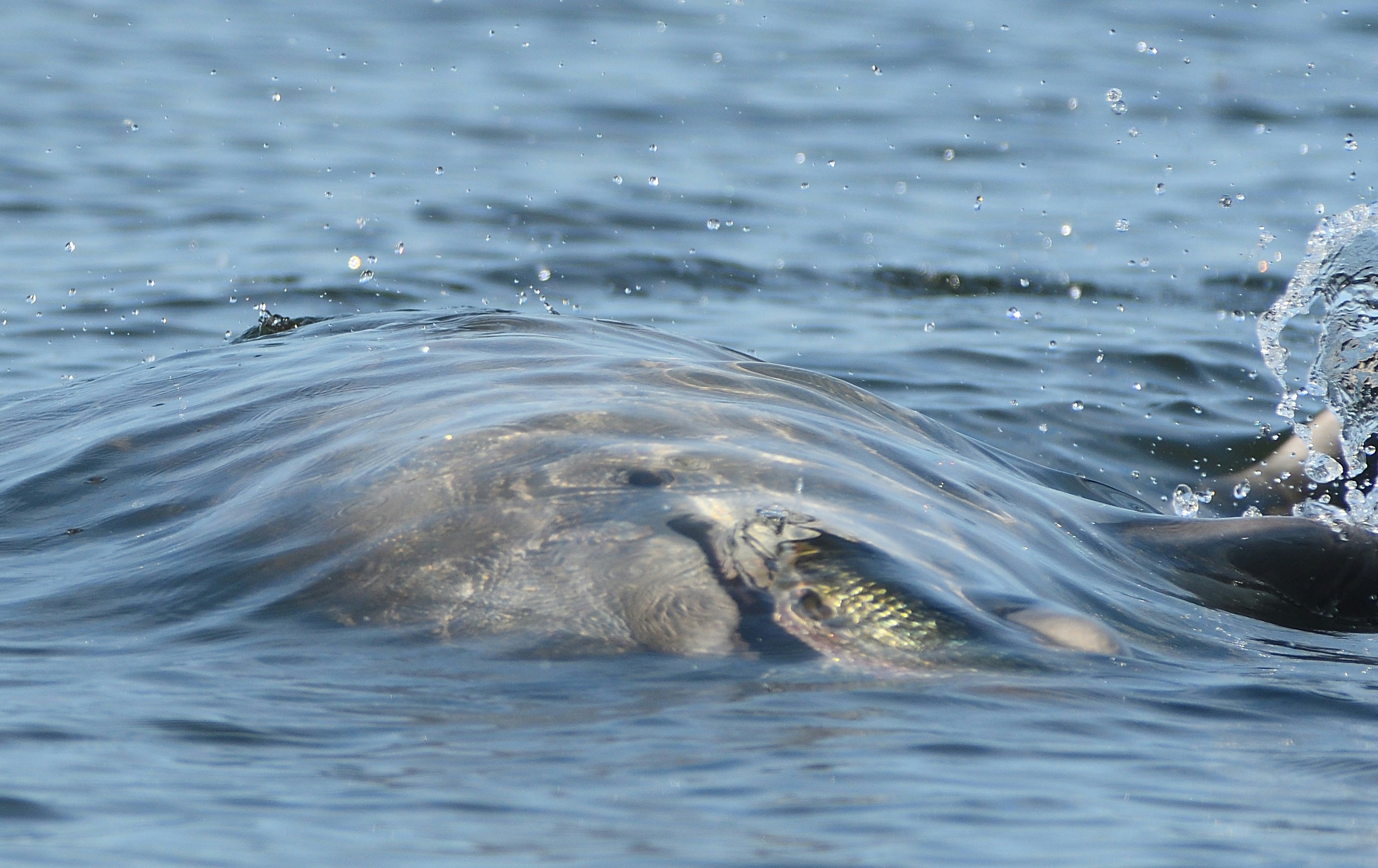 Photo by alex_makarov