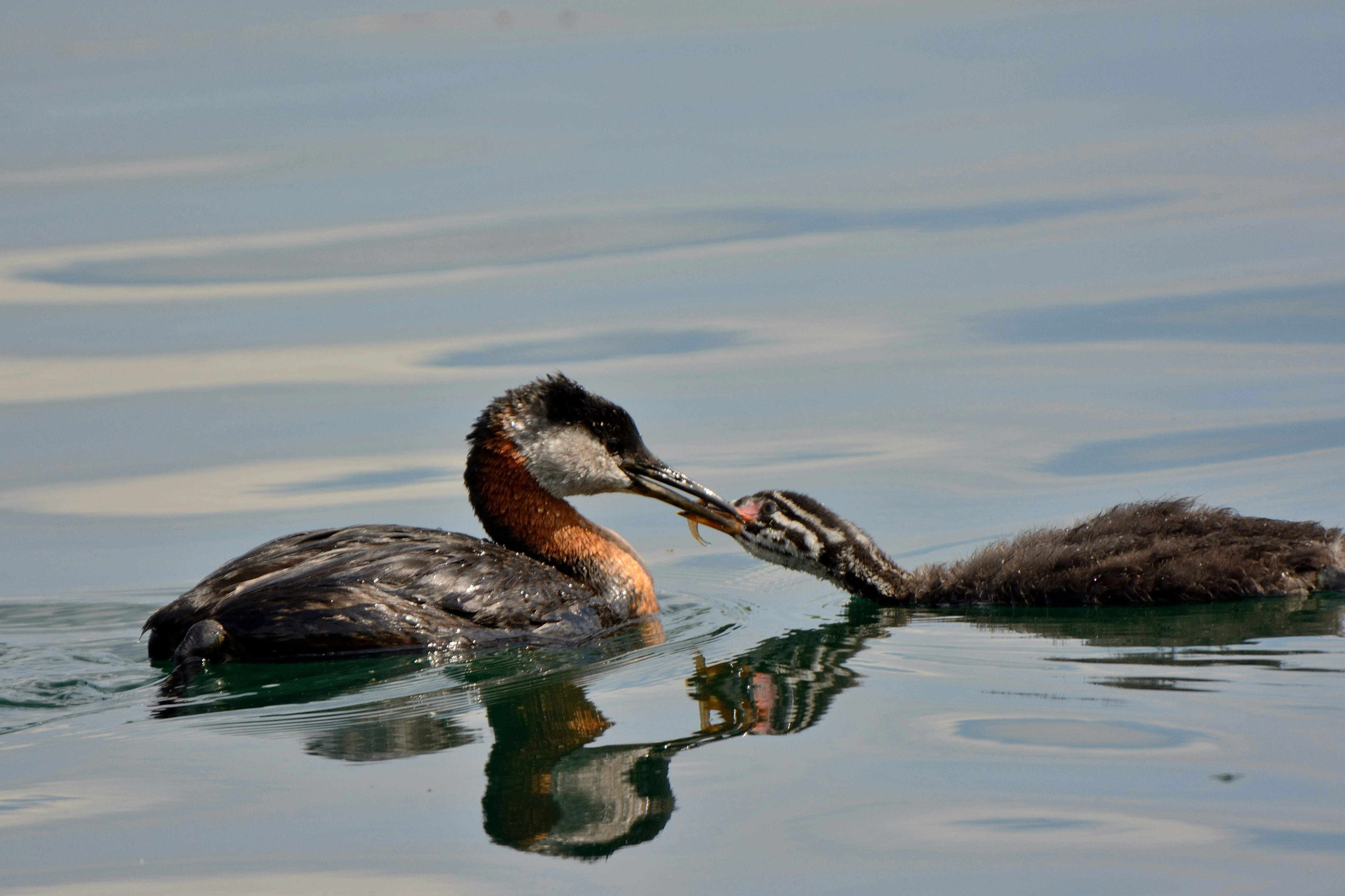 Photo by alex_makarov