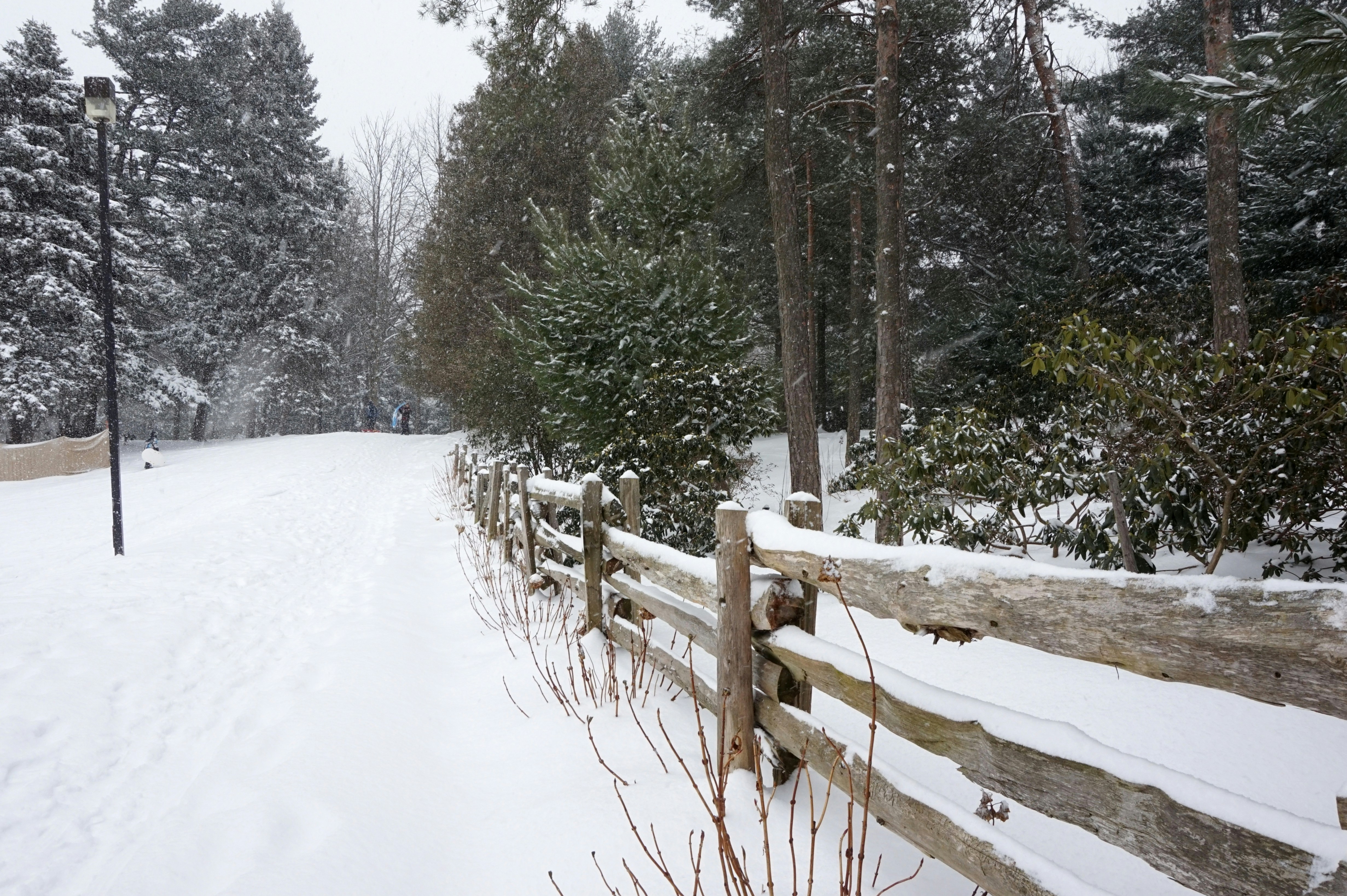 Photo by alex_makarov