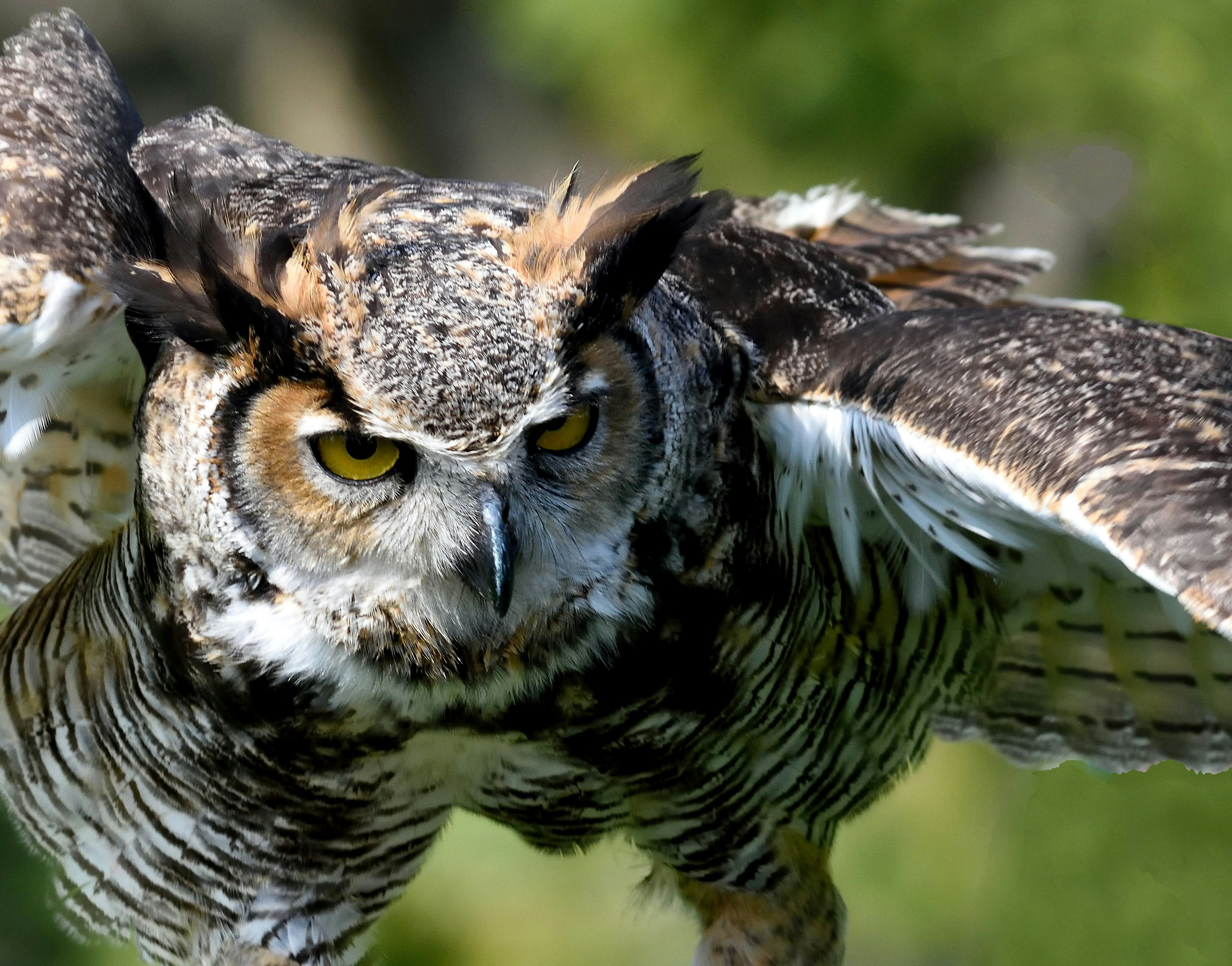 Photo by alex_makarov