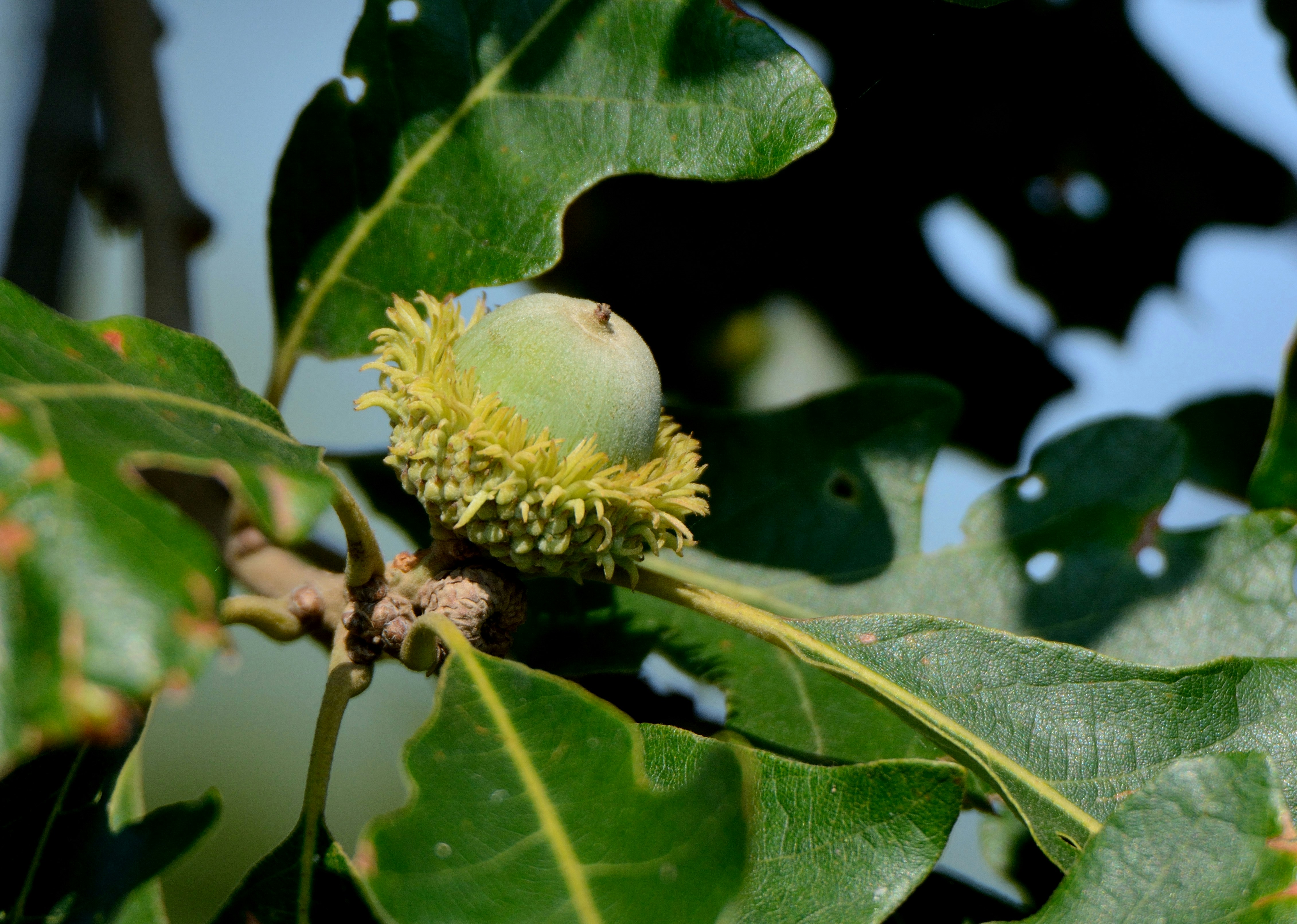 Photo by alex_makarov