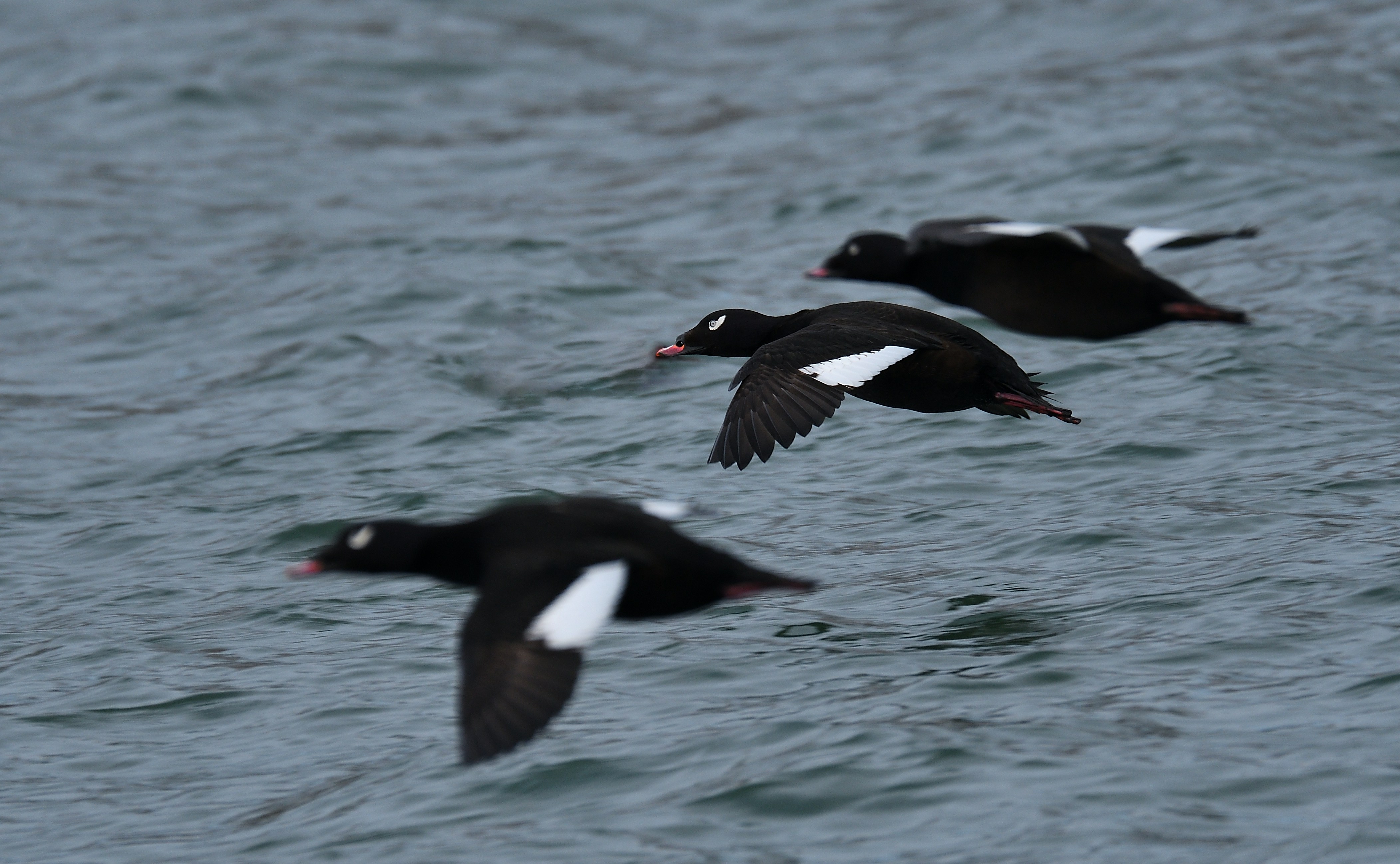 Photo by alex_makarov