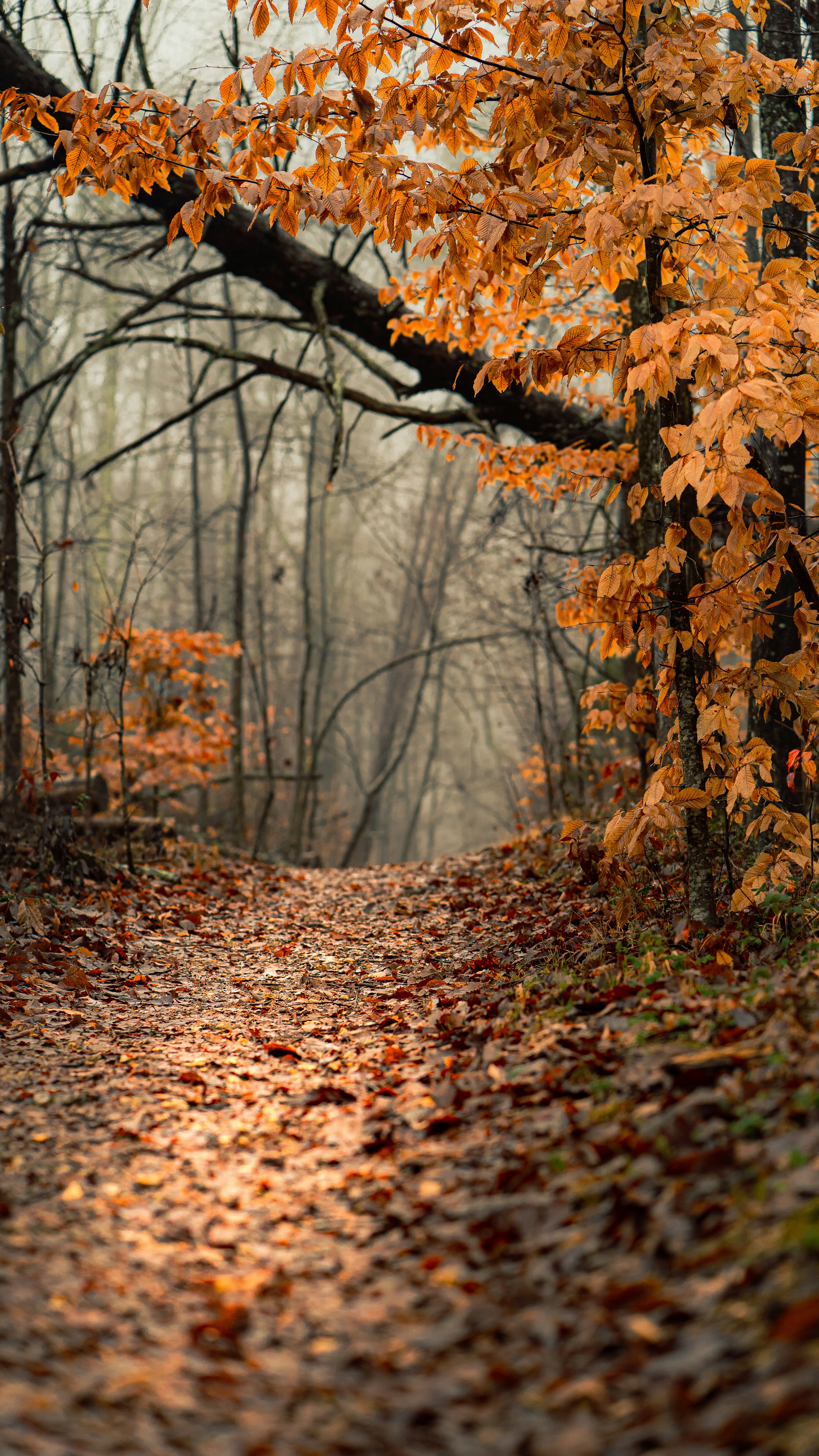 Photo by dylan_michaud