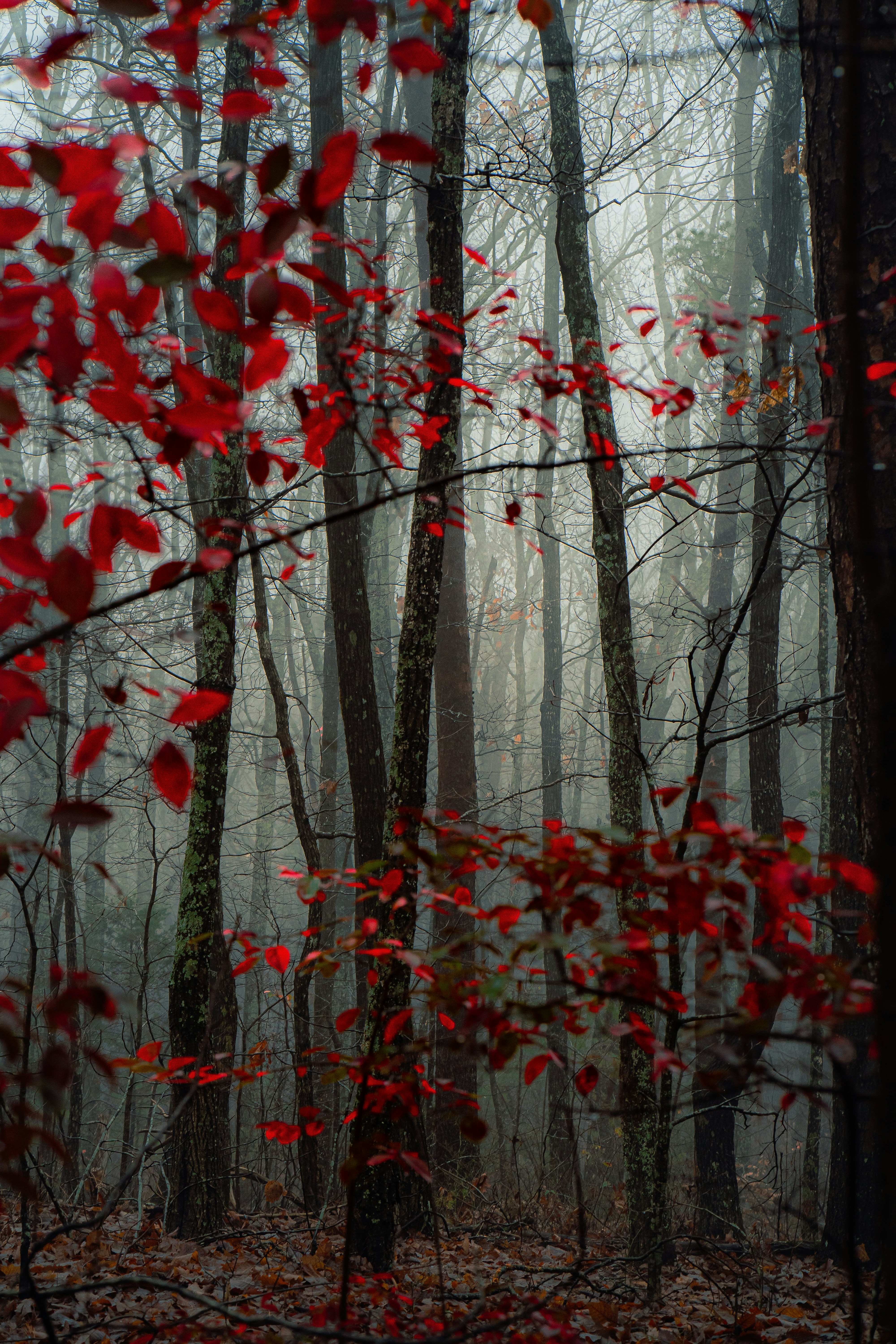 Photo by dylan_michaud