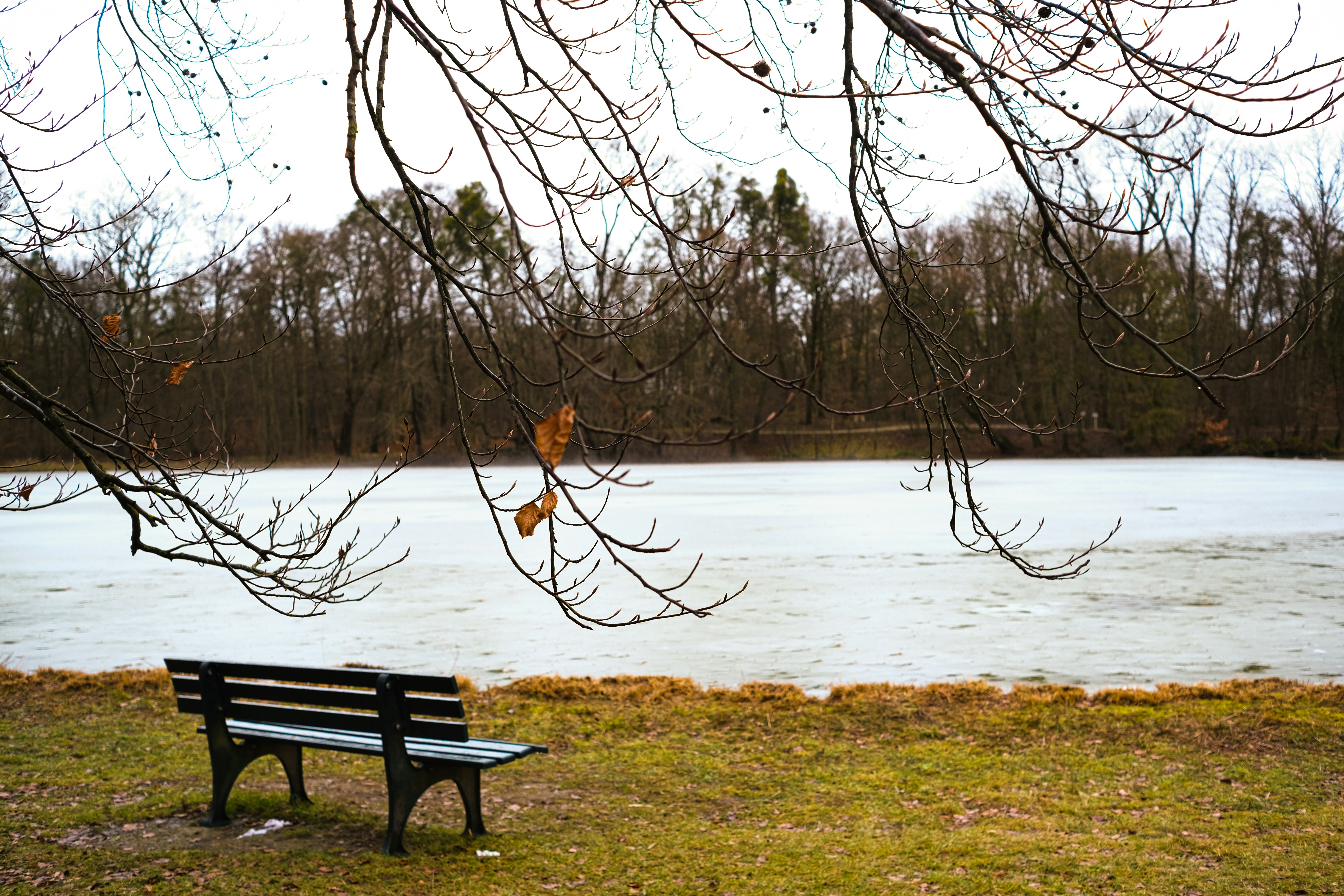 Photo by vaibhavkalekar