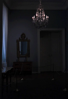 A dimly lit room with elegant leather restraints and polished metal accessories arranged artfully.