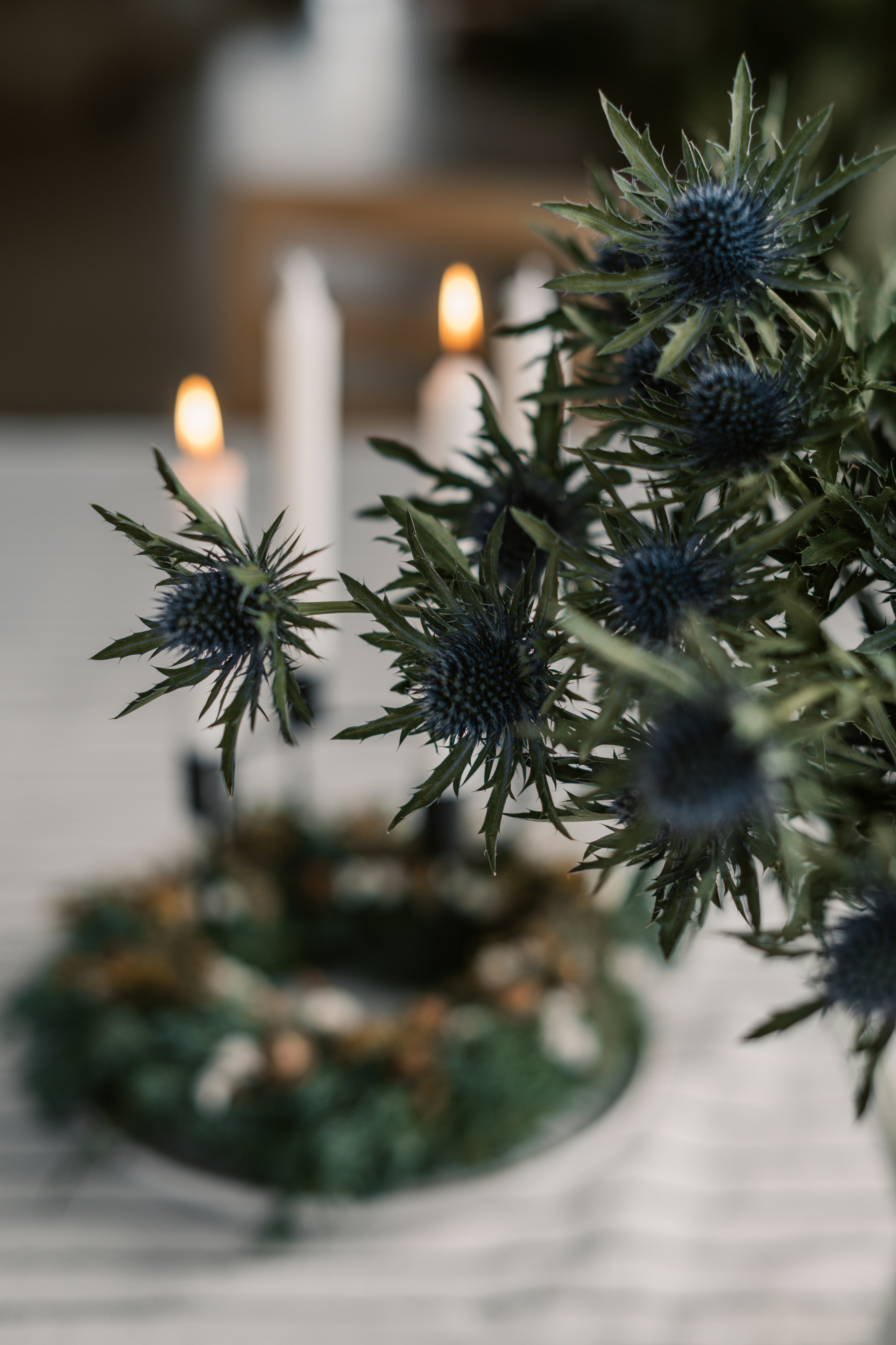 Photo by anitaaustvika