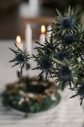 A close-up of a traditional biznaga flower used in mystical rituals, glowing softly in candlelight.