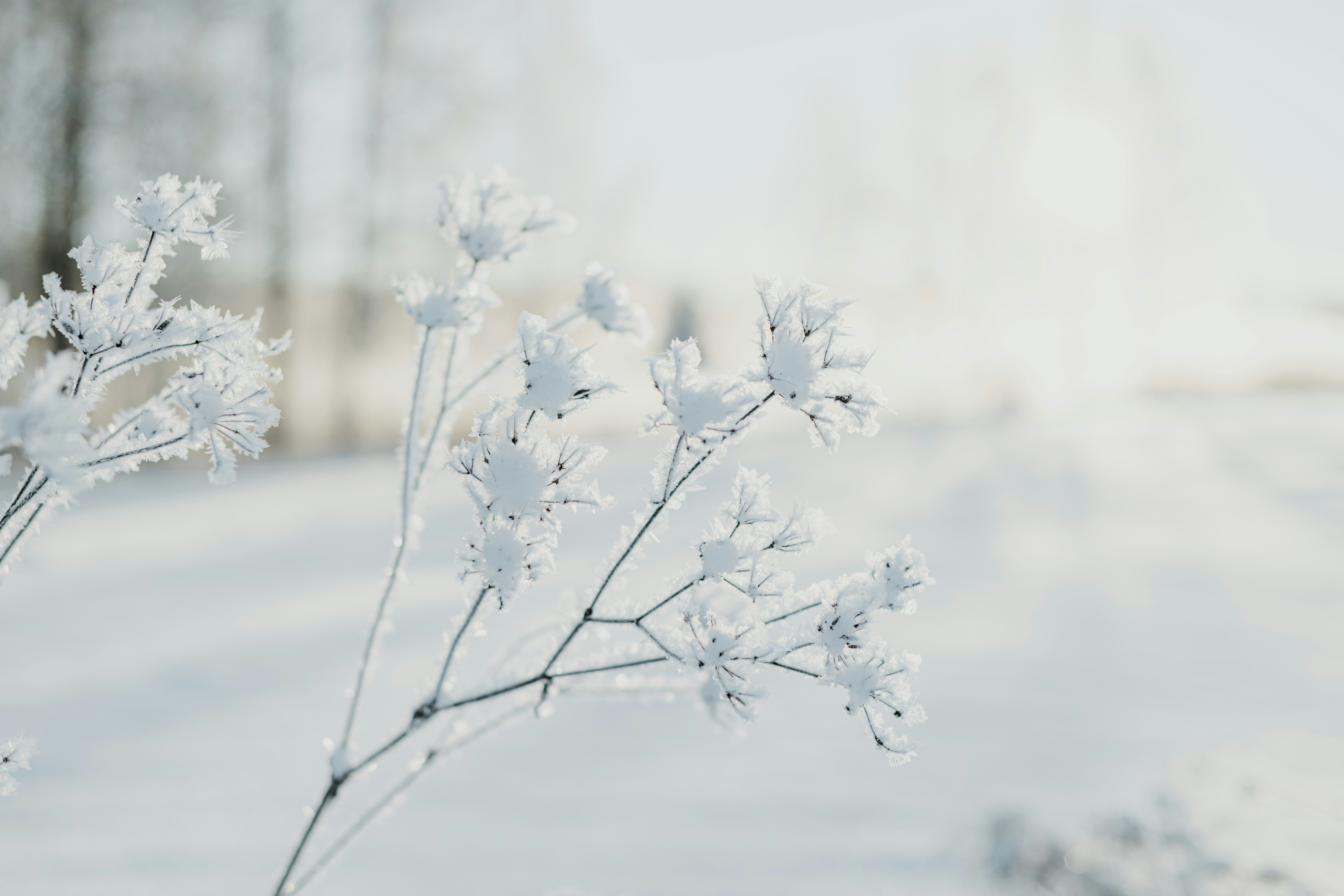 Photo by anitaaustvika