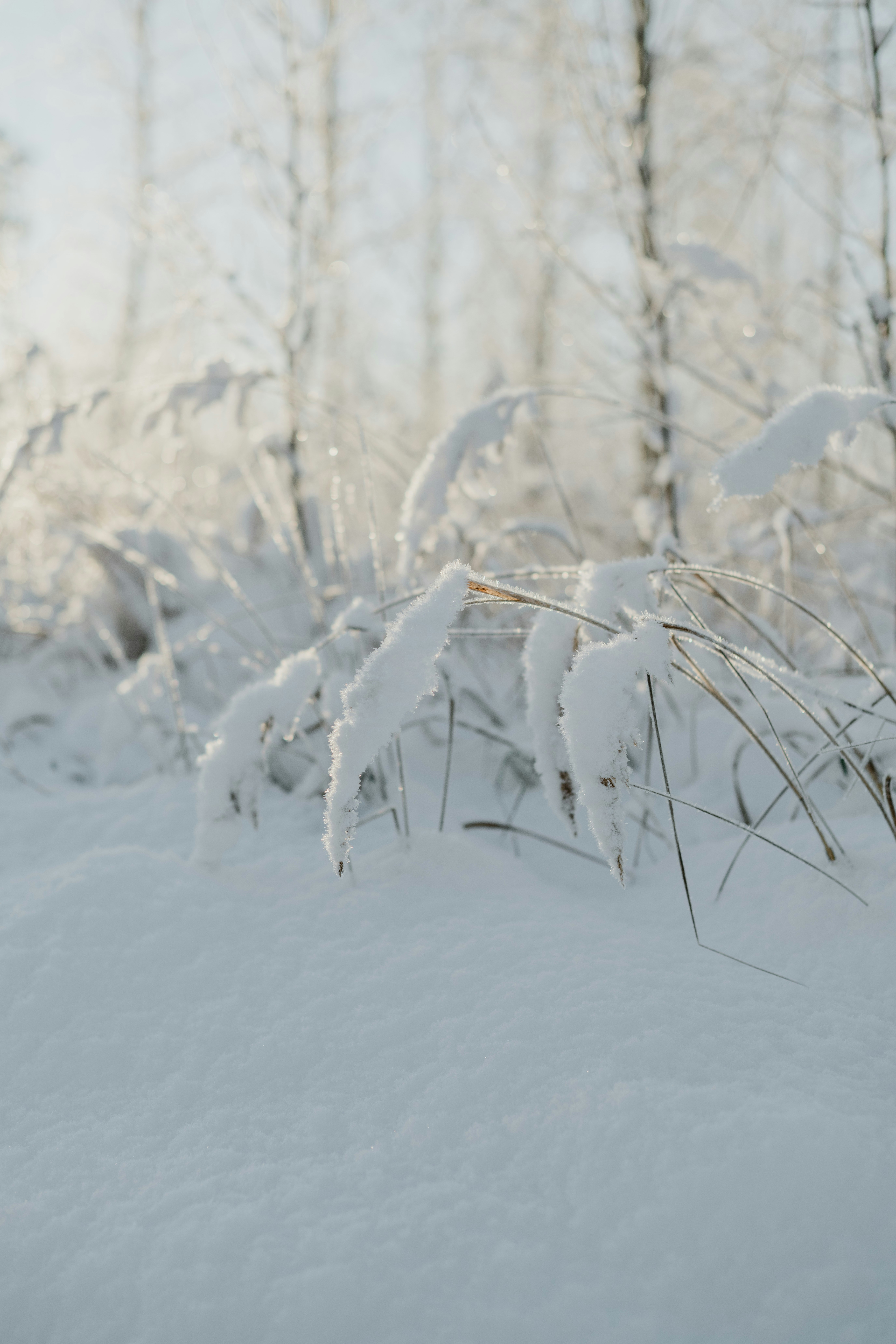 Photo by anitaaustvika