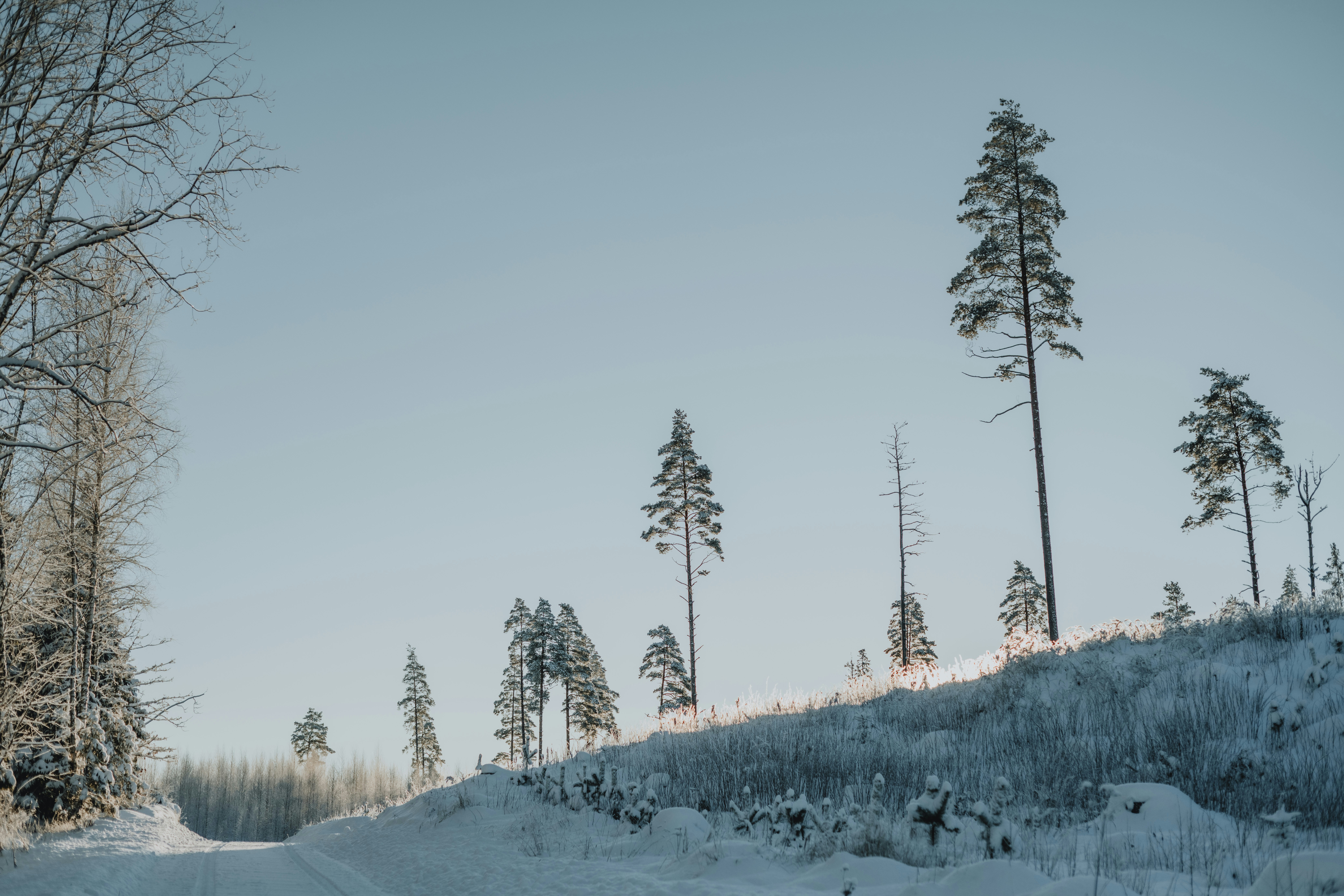 Photo by anitaaustvika