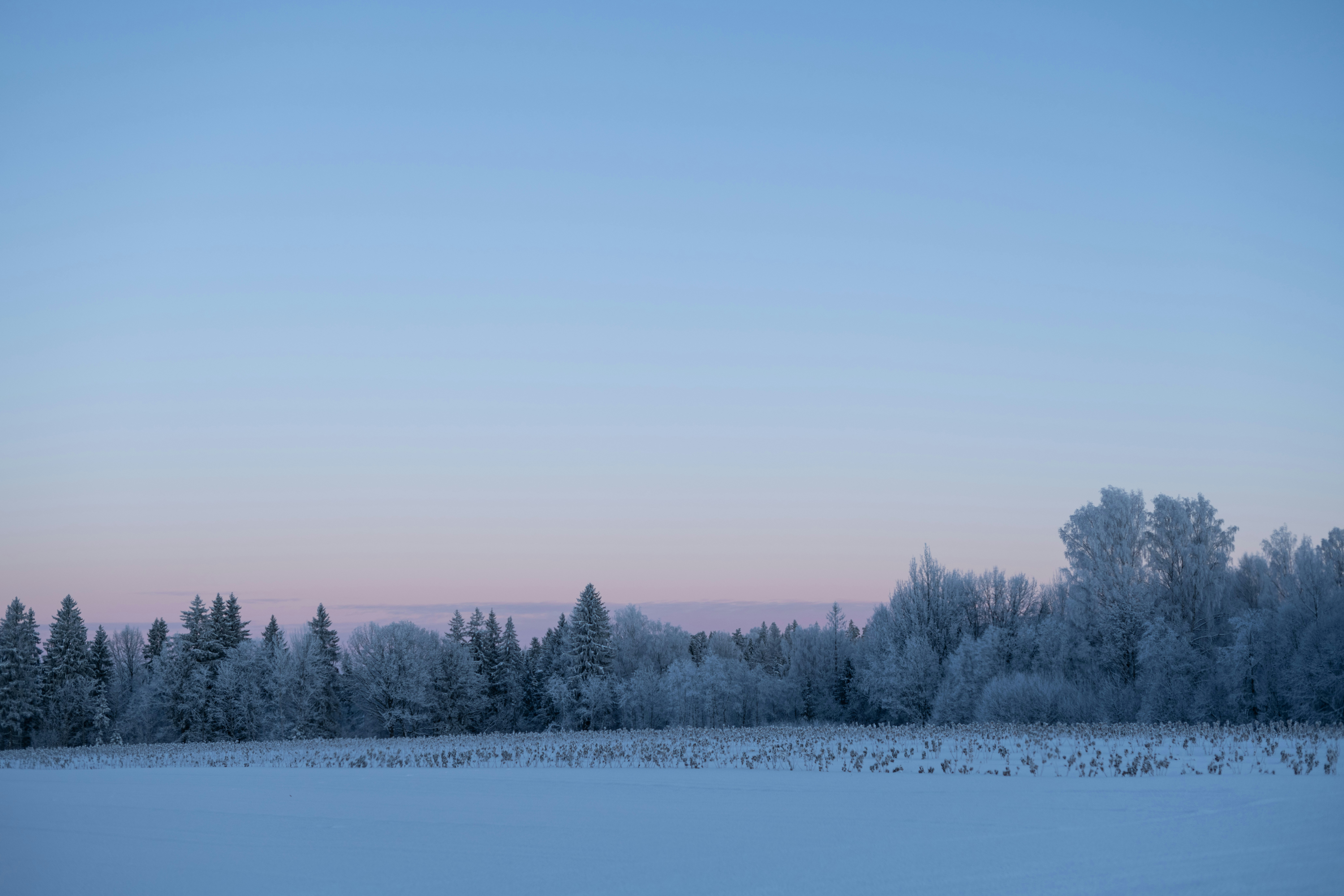 Photo by anitaaustvika