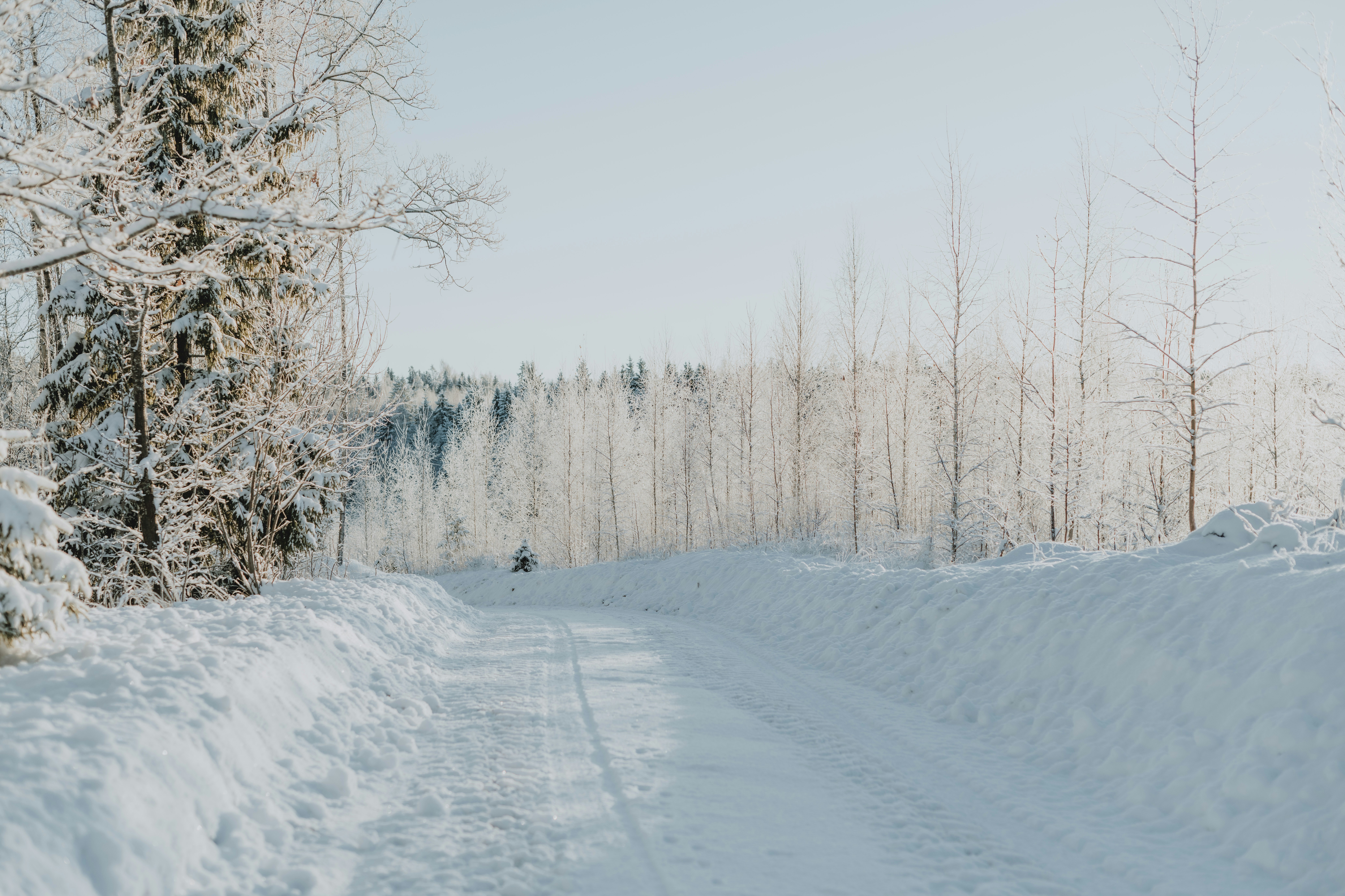 Photo by anitaaustvika