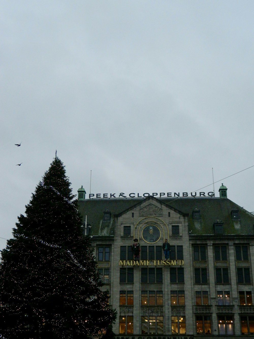 a large building with a christmas tree in front of it