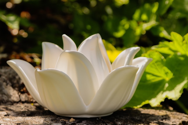 A white, ceramic lotus flower-shaped candle holder sits on a textured stone surface. The background is lush with green leaves and soft-focus natural sunlight, creating a serene and peaceful ambiance.