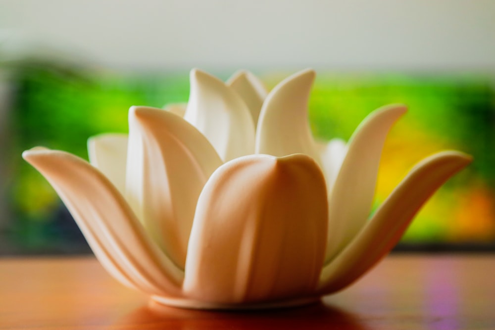 a white flower sitting on top of a wooden table