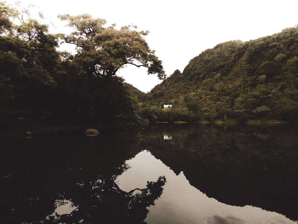 a large body of water surrounded by trees