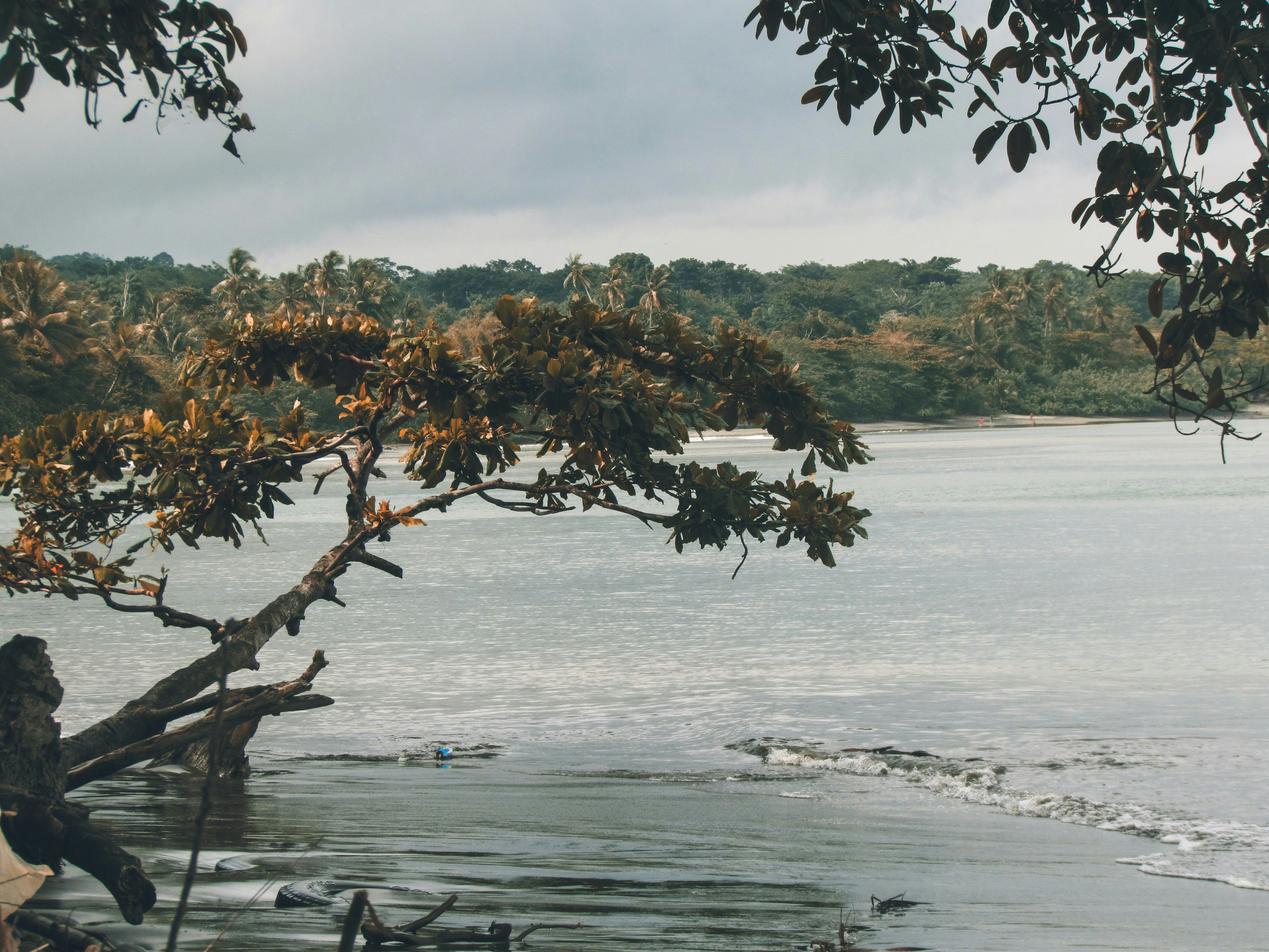 Photo by ricardoaaron