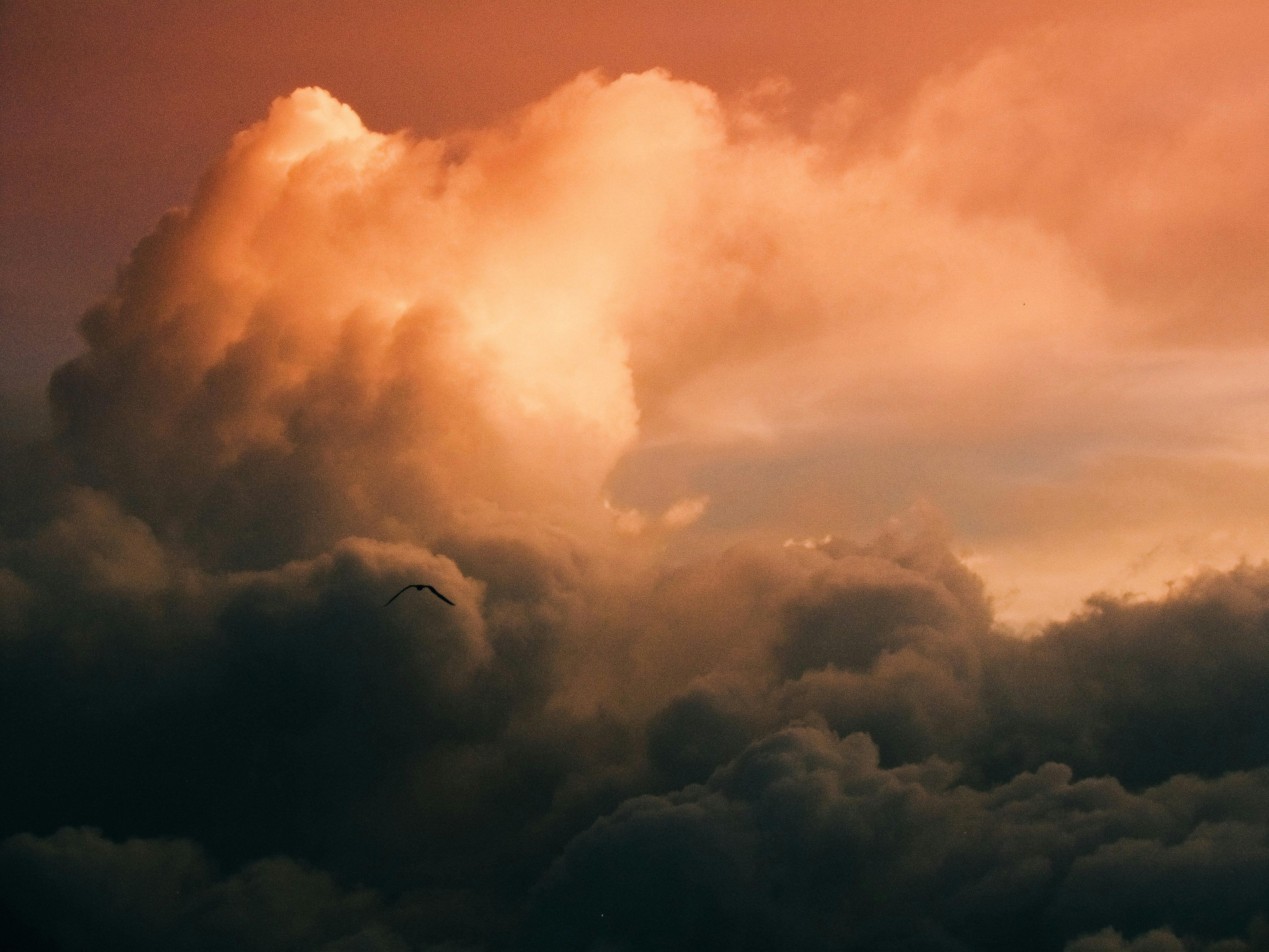 Photo by ricardoaaron