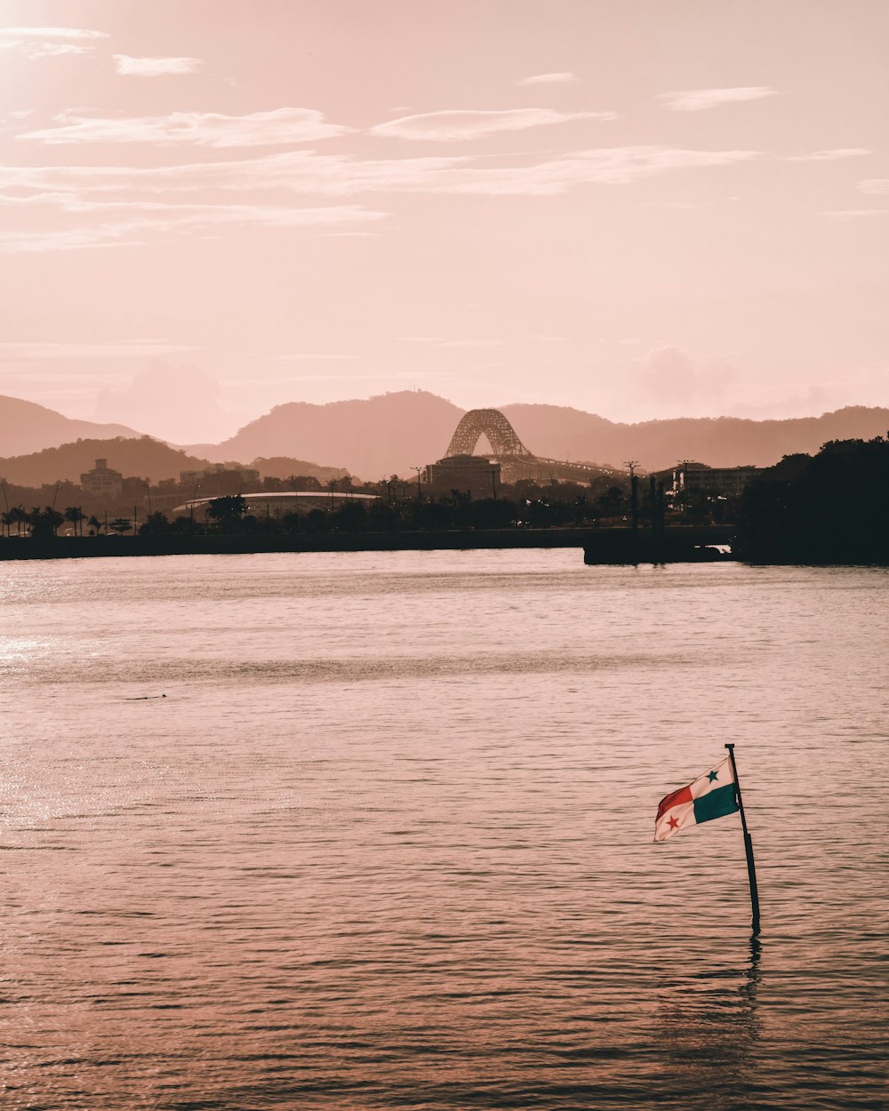 a flag on a pole in the middle of a body of water