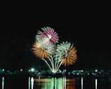 a fireworks display in the night sky over a body of water