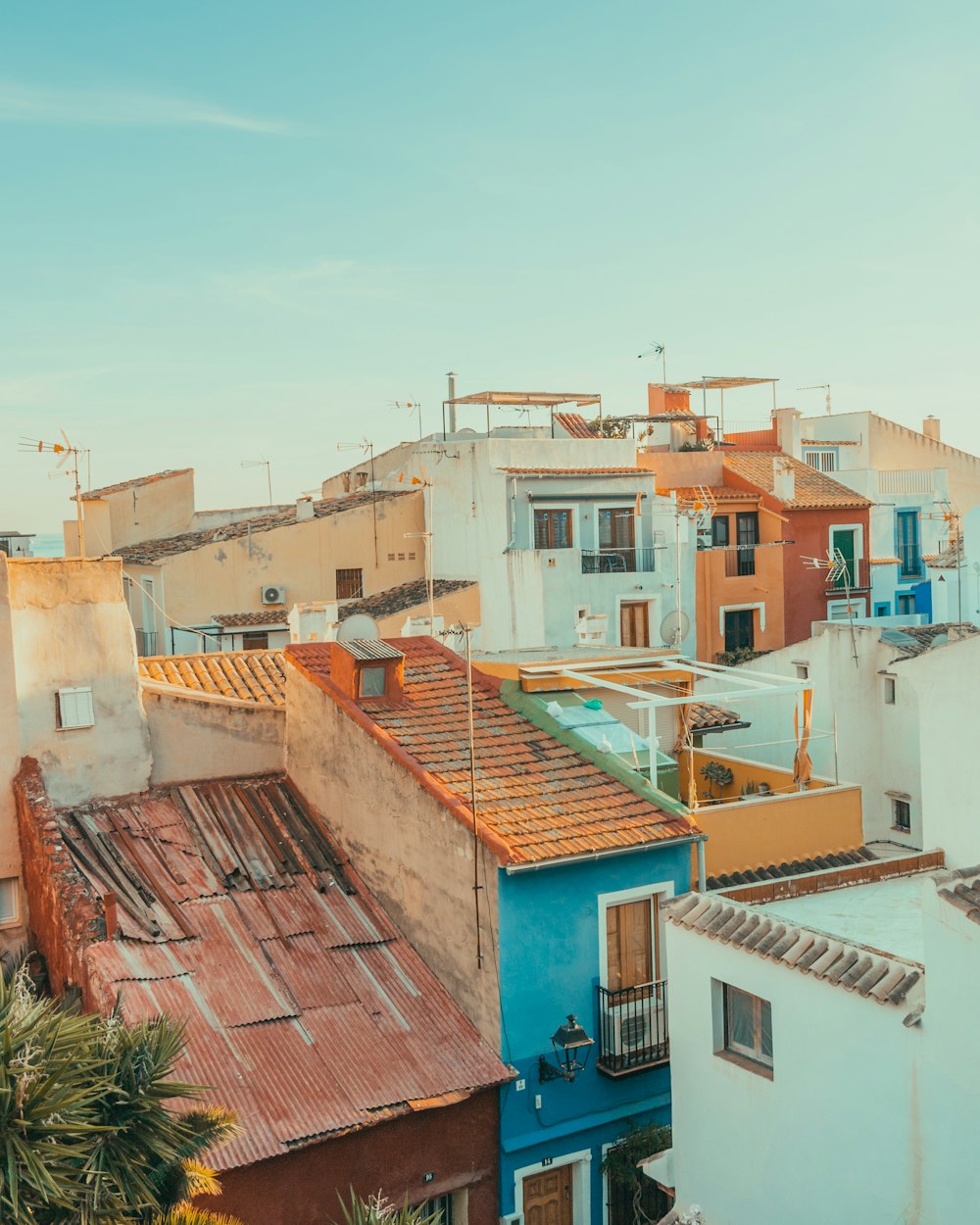 a view of a city from a rooftop