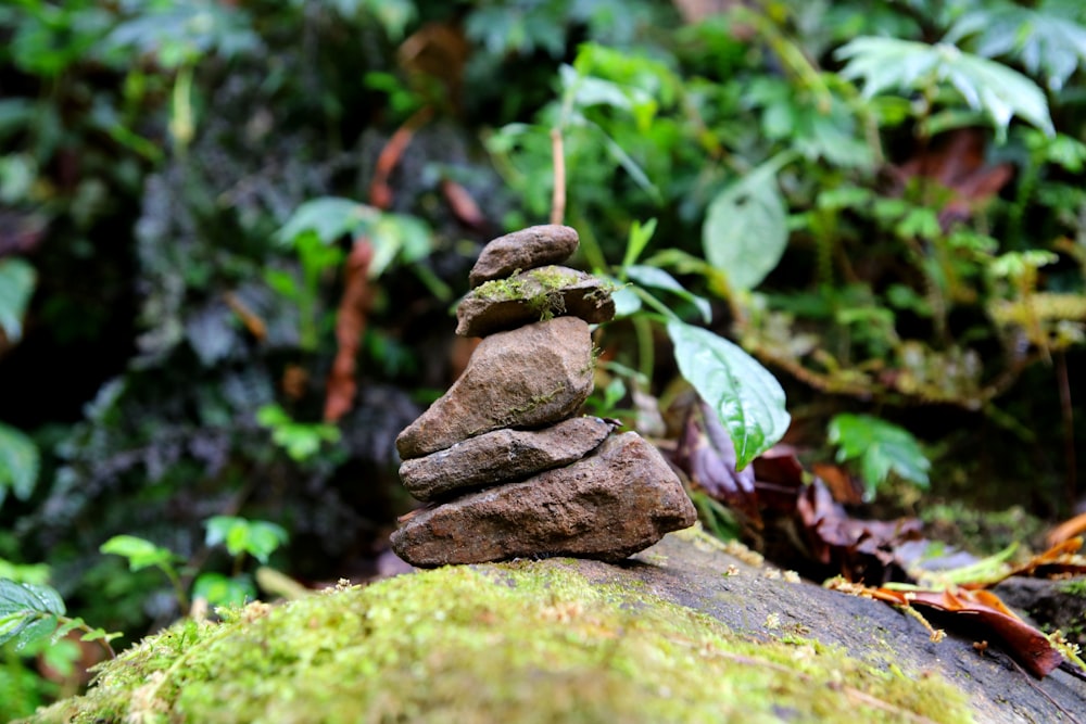 a stack of rocks sitting on top of a moss covered rock
