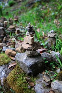 a pile of rocks sitting on top of a lush green field