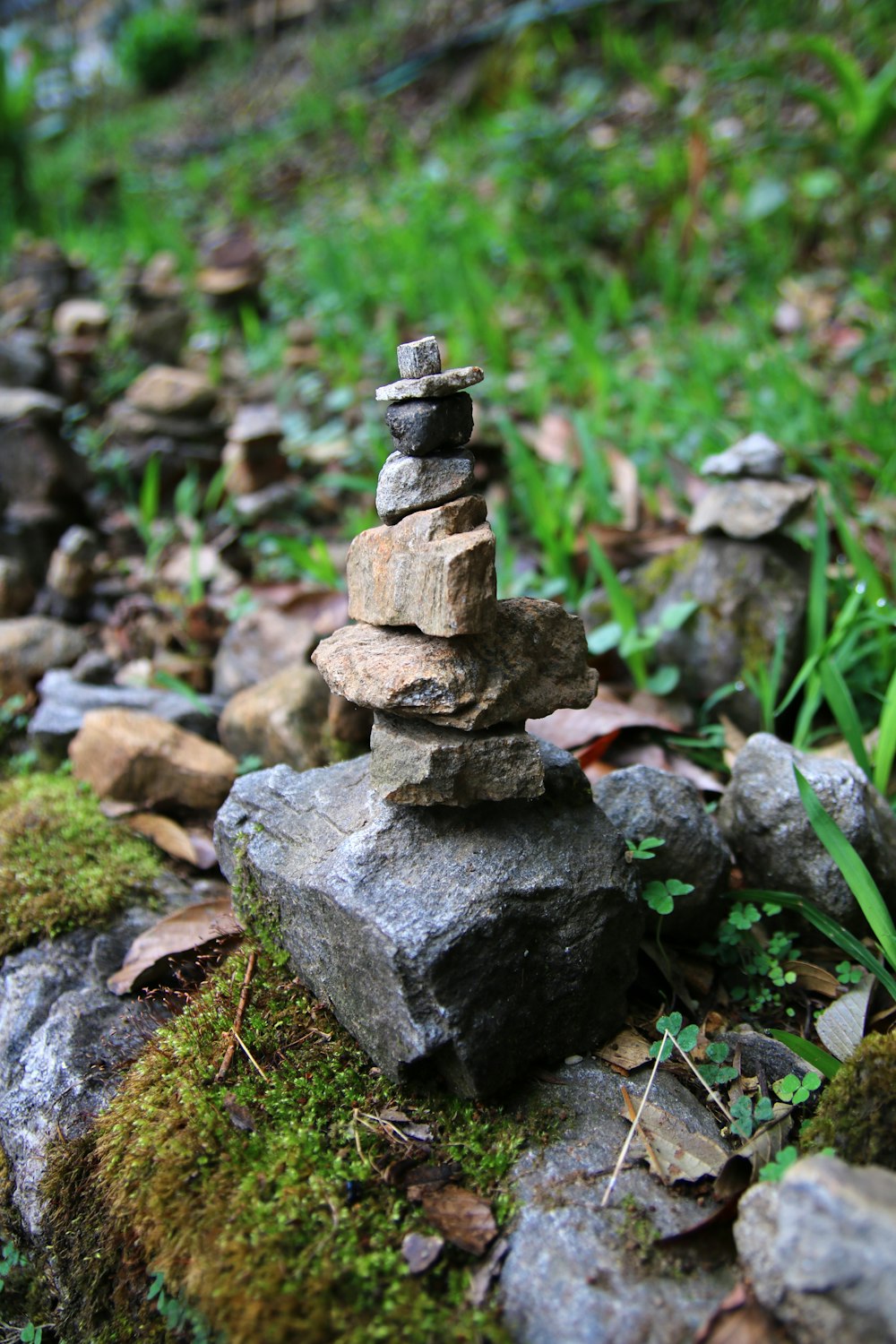 a pile of rocks sitting on top of a lush green field