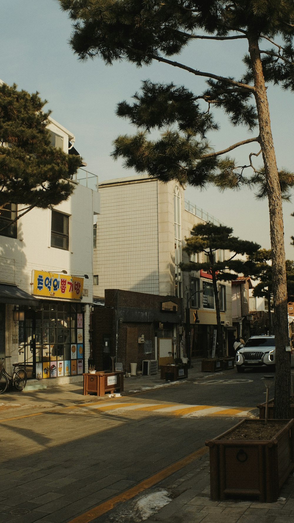 a street corner with a tall tree in the foreground