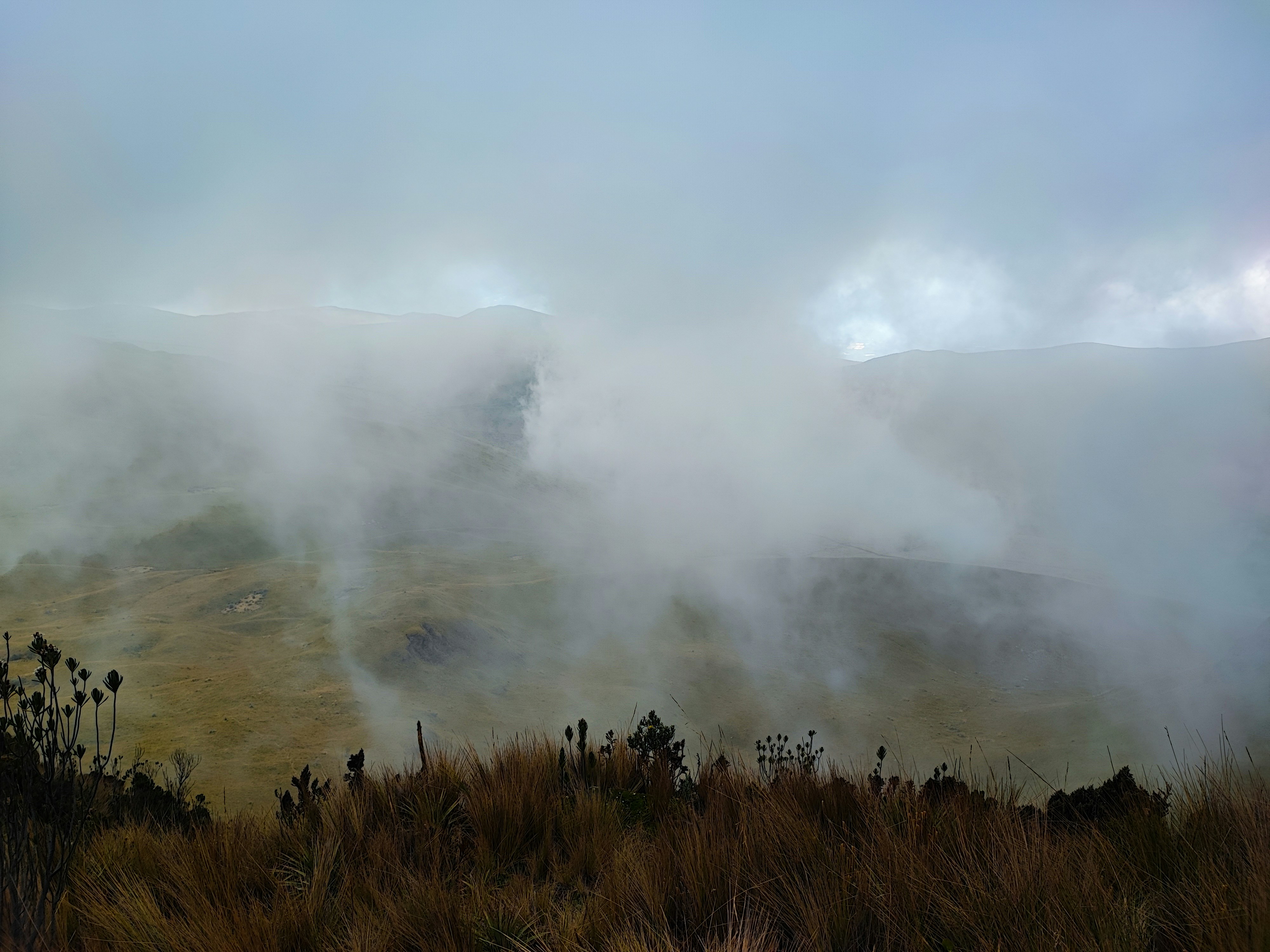a foggy landscape with grass and bushes in the foreground - Otavalo