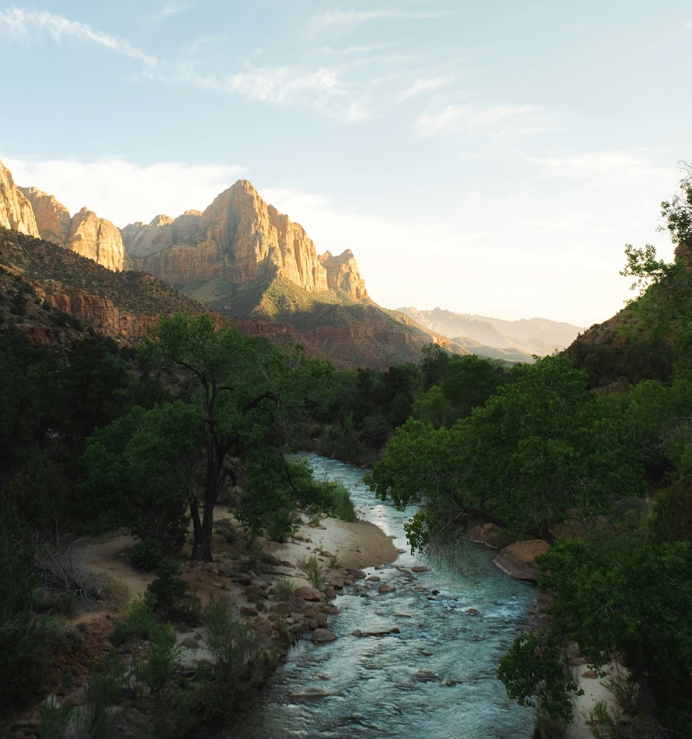 Un fiume che attraversa una lussureggiante foresta verde