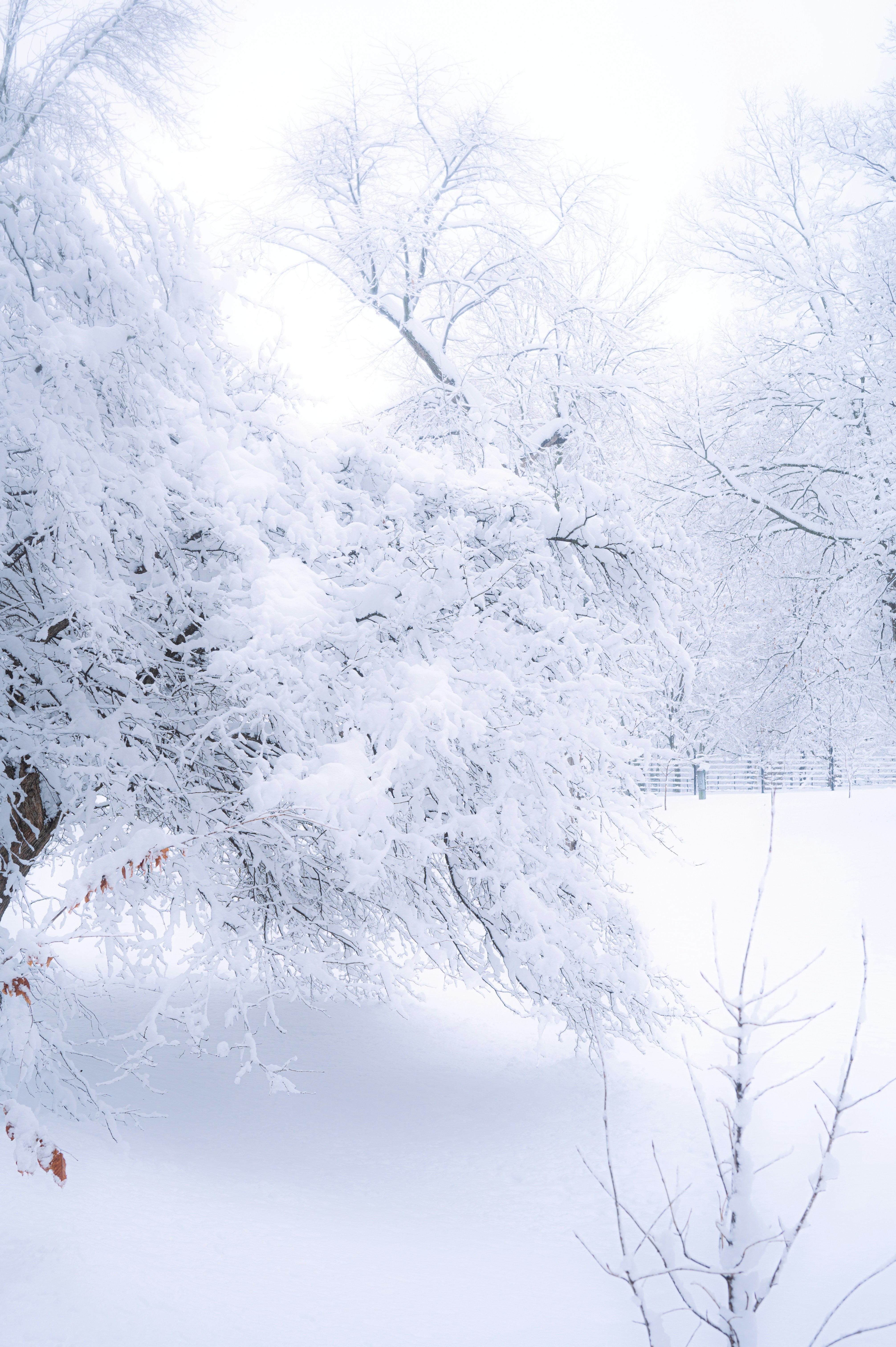 Photo by ryunosuke_kikuno