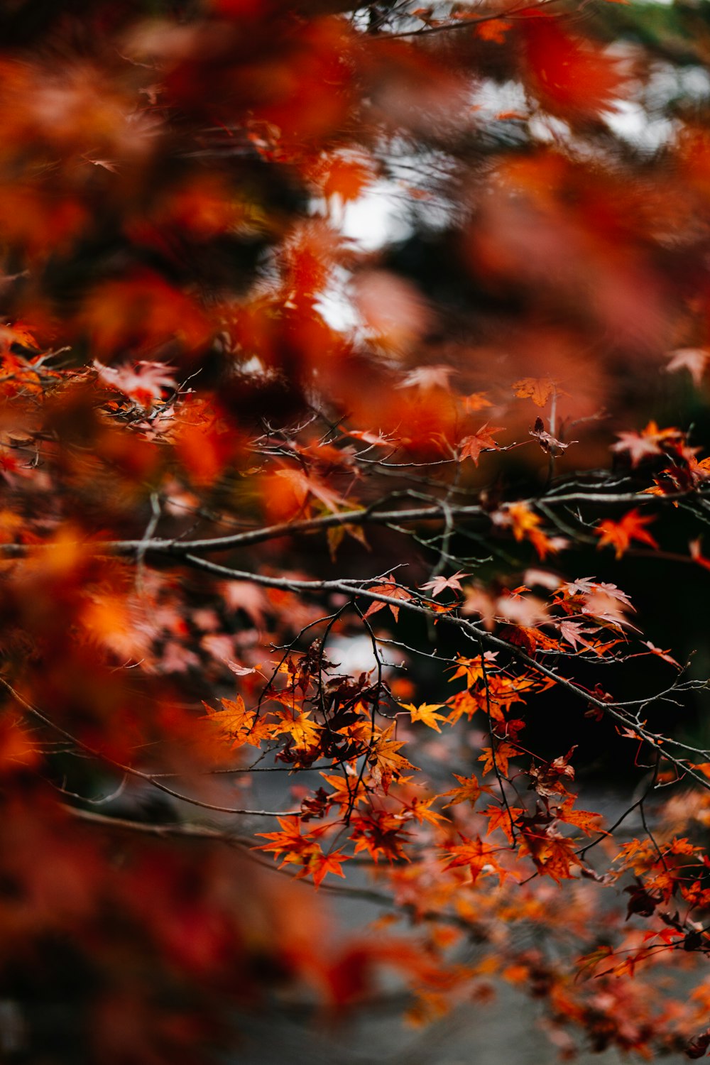 a bird perched on top of a tree filled with leaves