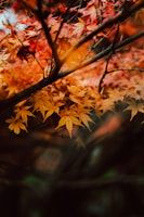 Close-up of a delicate watercolor painting of autumn leaves in warm earthy tones.