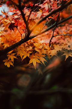 Close-up of a painting featuring detailed autumn leaves gently swaying, with warm browns and golds highlighting the scene.