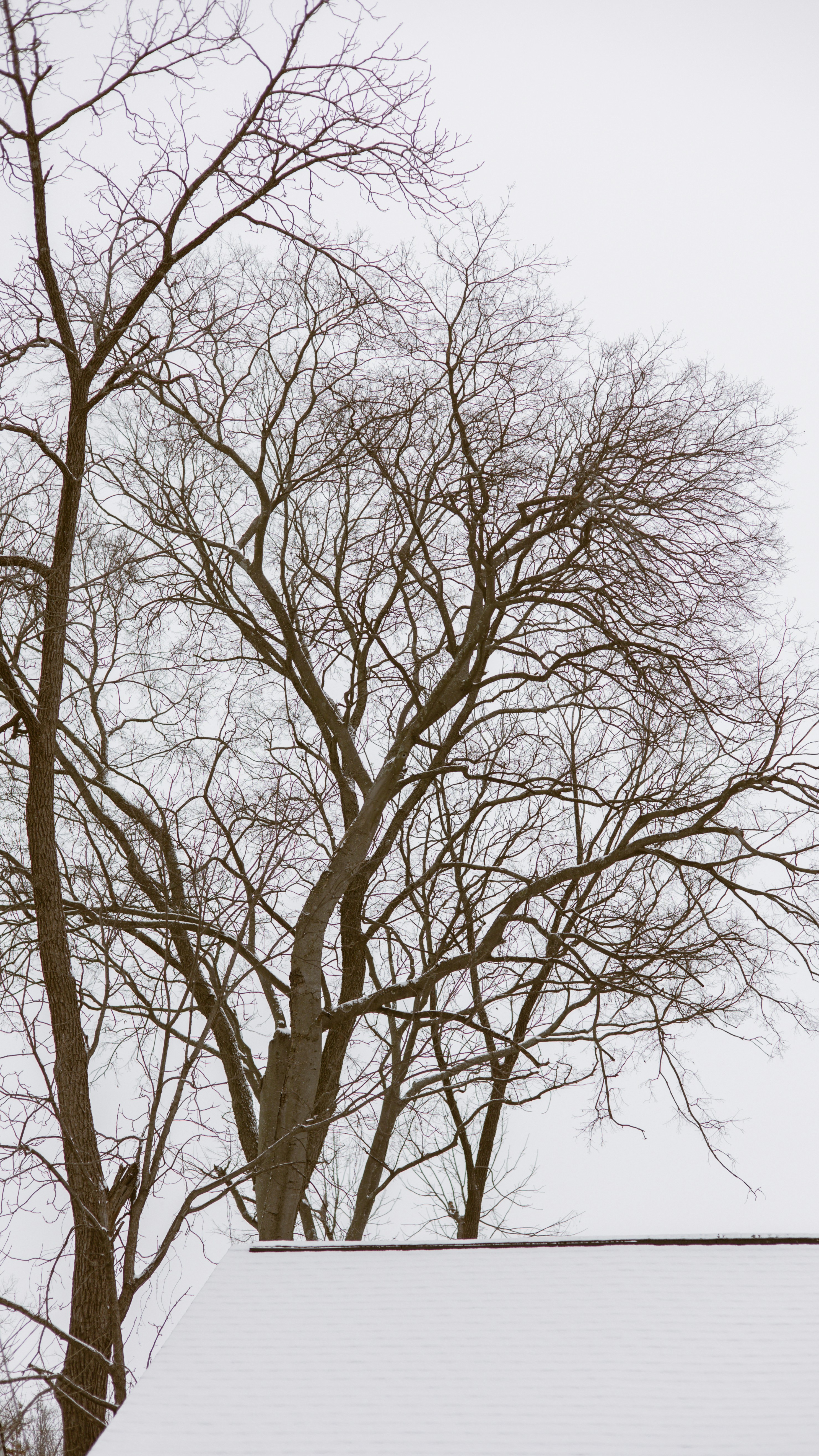 Photo by joshwithers